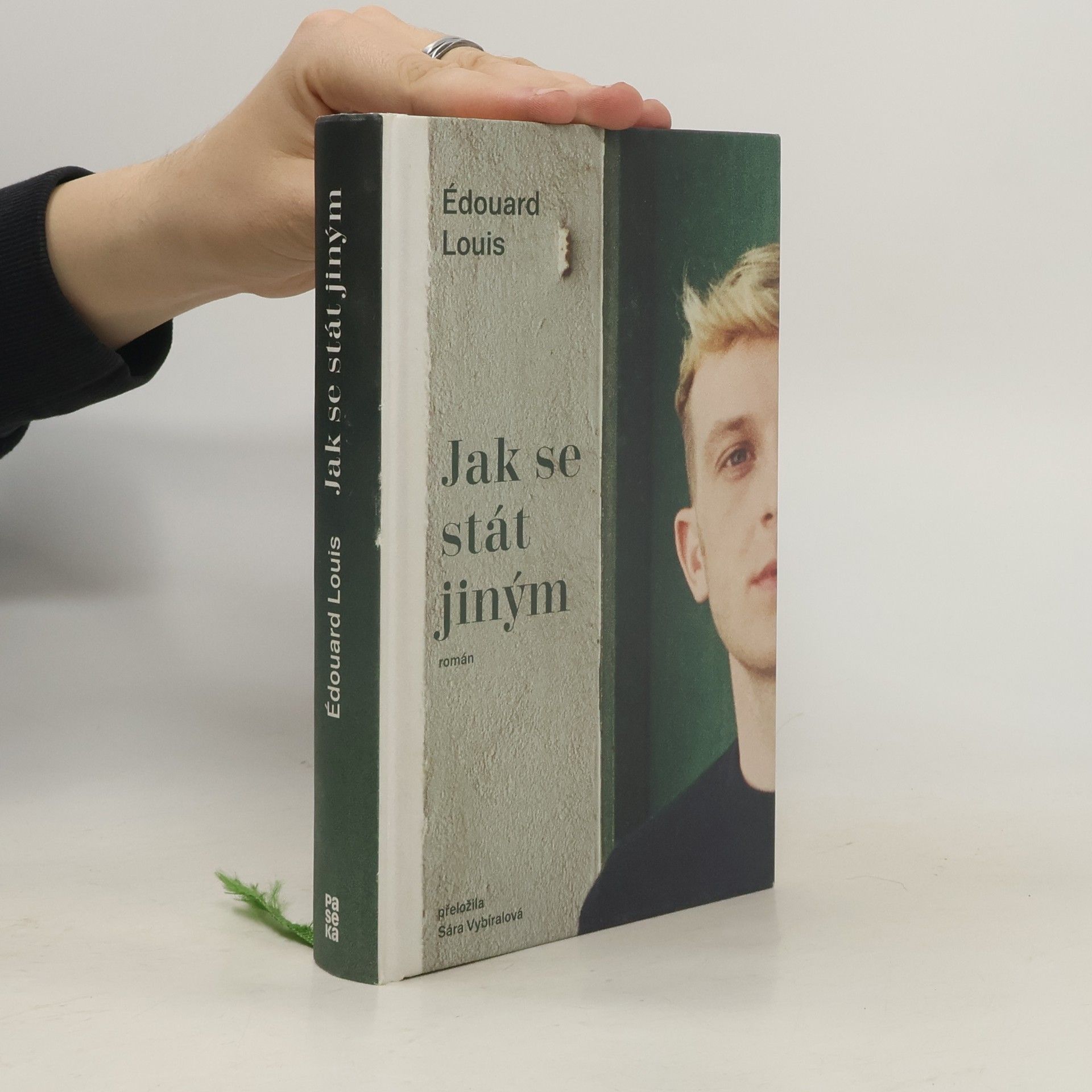 Édouard Louis Jak se stát jiným