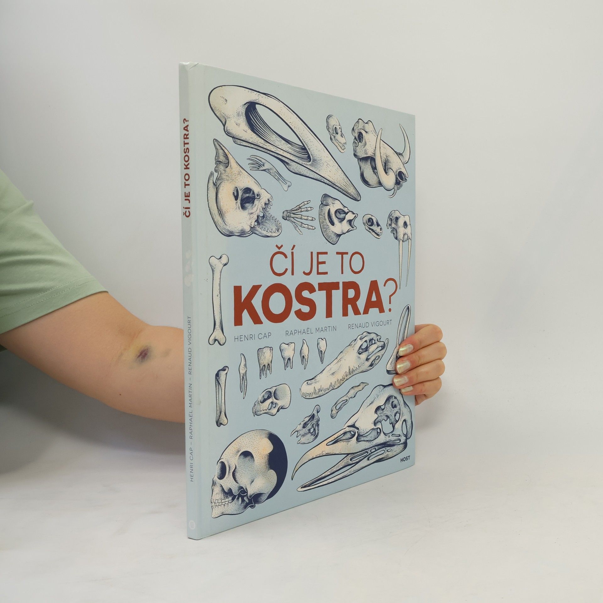 Henri Cap Čí je to kostra?
