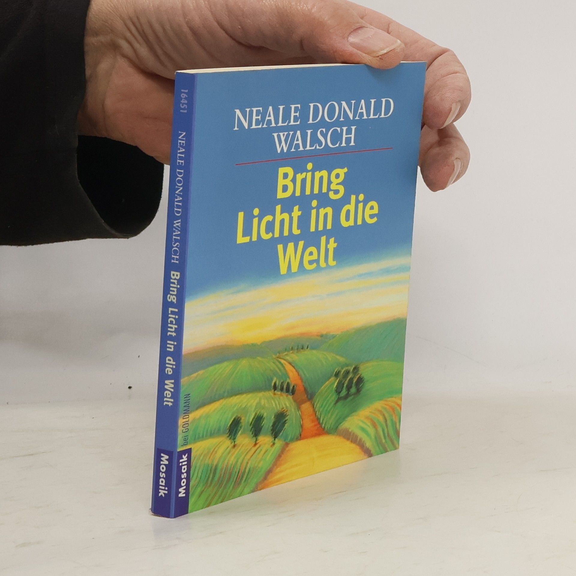 Neale Donald Walsch Bring Licht in die Welt