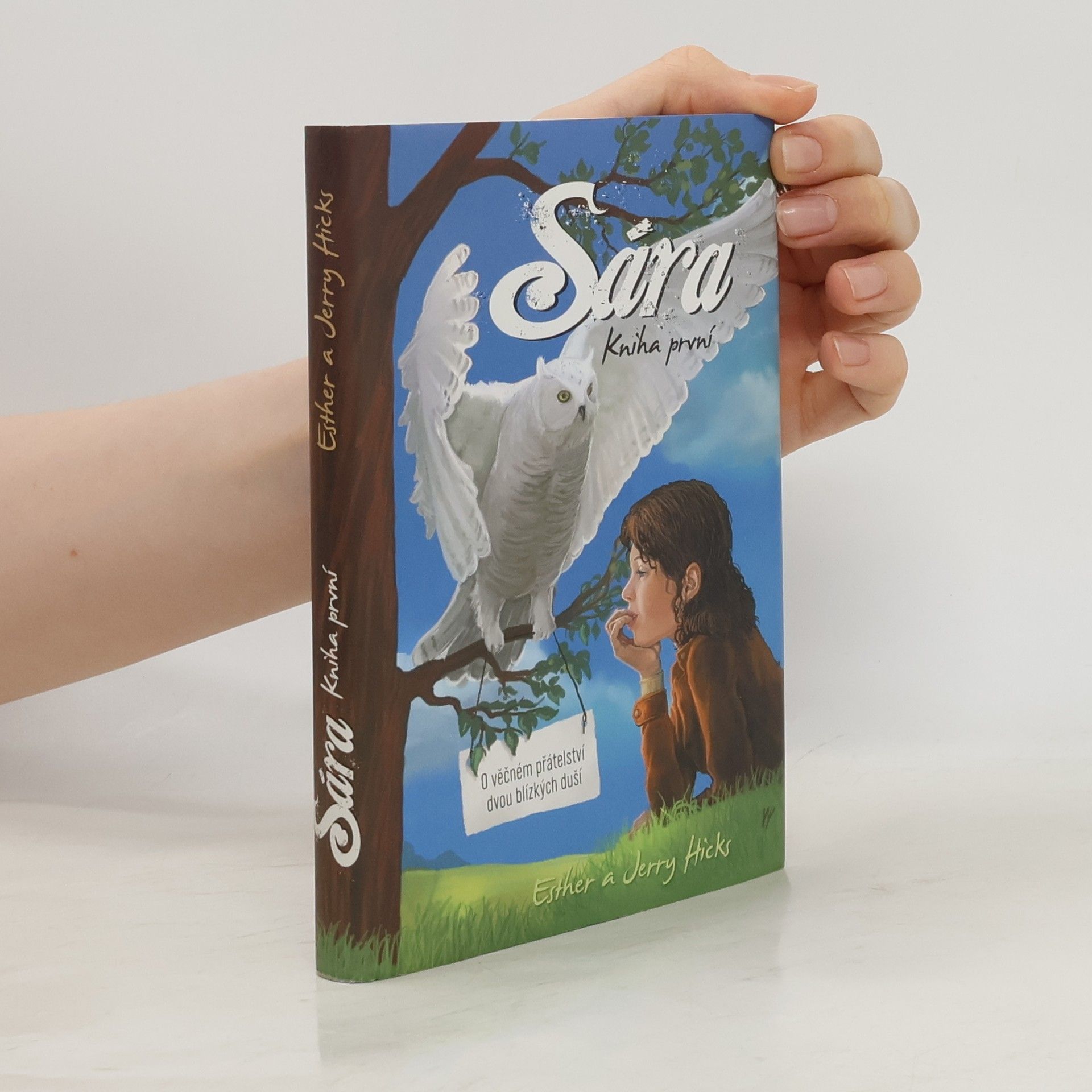 Sára. Kniha první, O věčném přátelství dvou blízkých duší