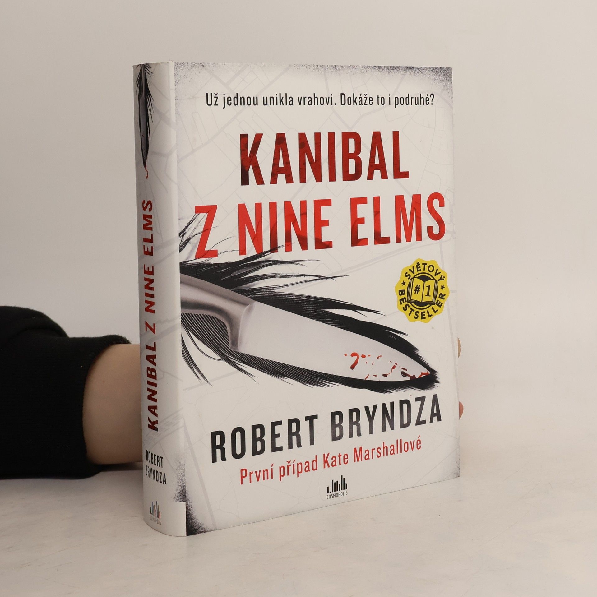 Robert Bryndza Kanibal z Nine Elms