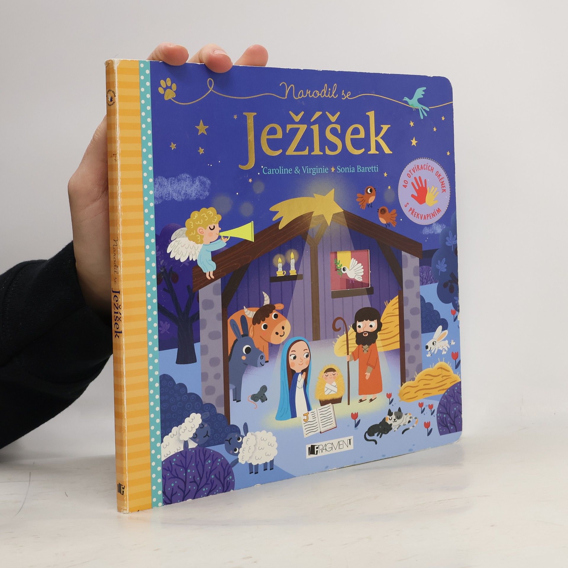 Virginie Aladjidi Narodil se Ježíšek