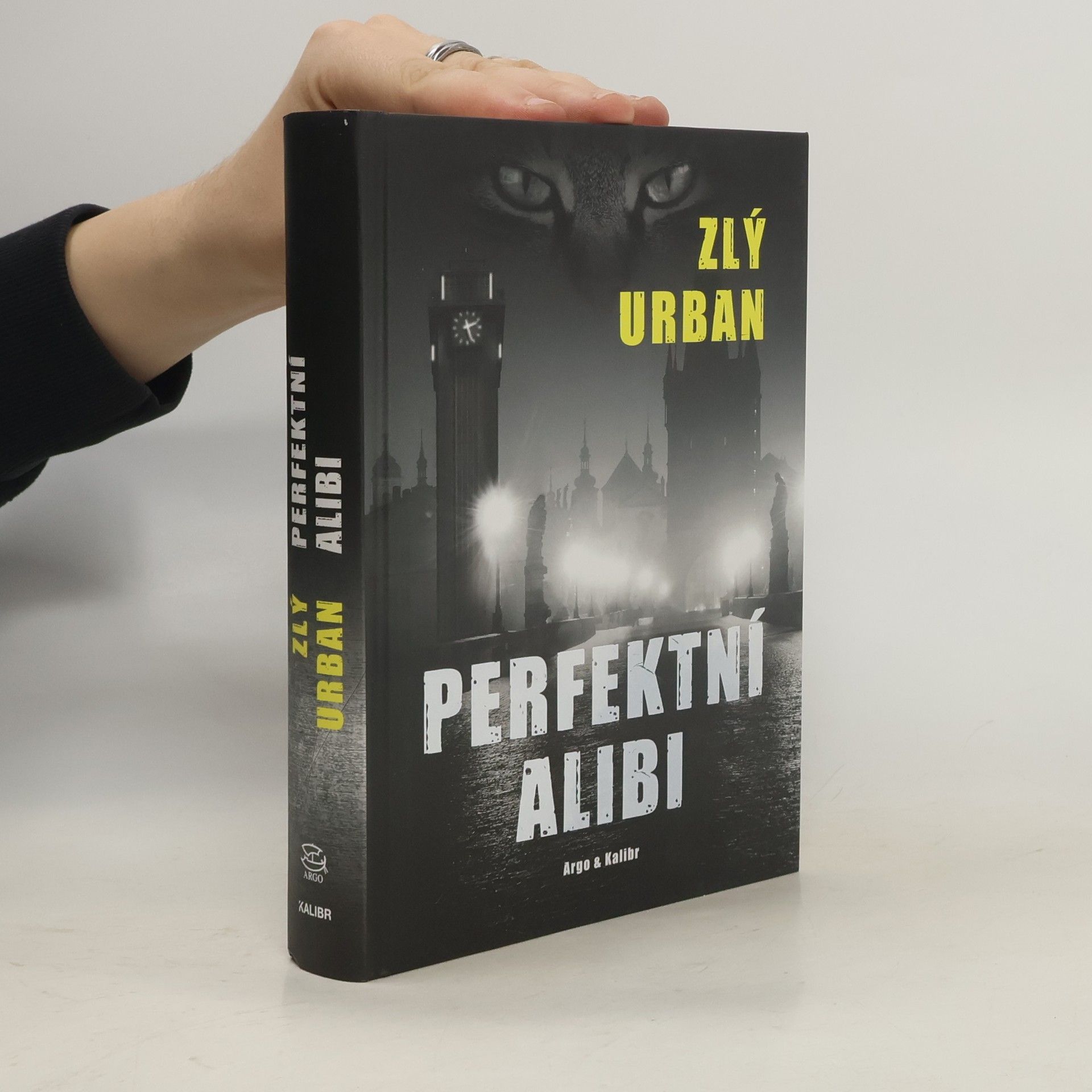 Vladimír Zlý Perfektní alibi
