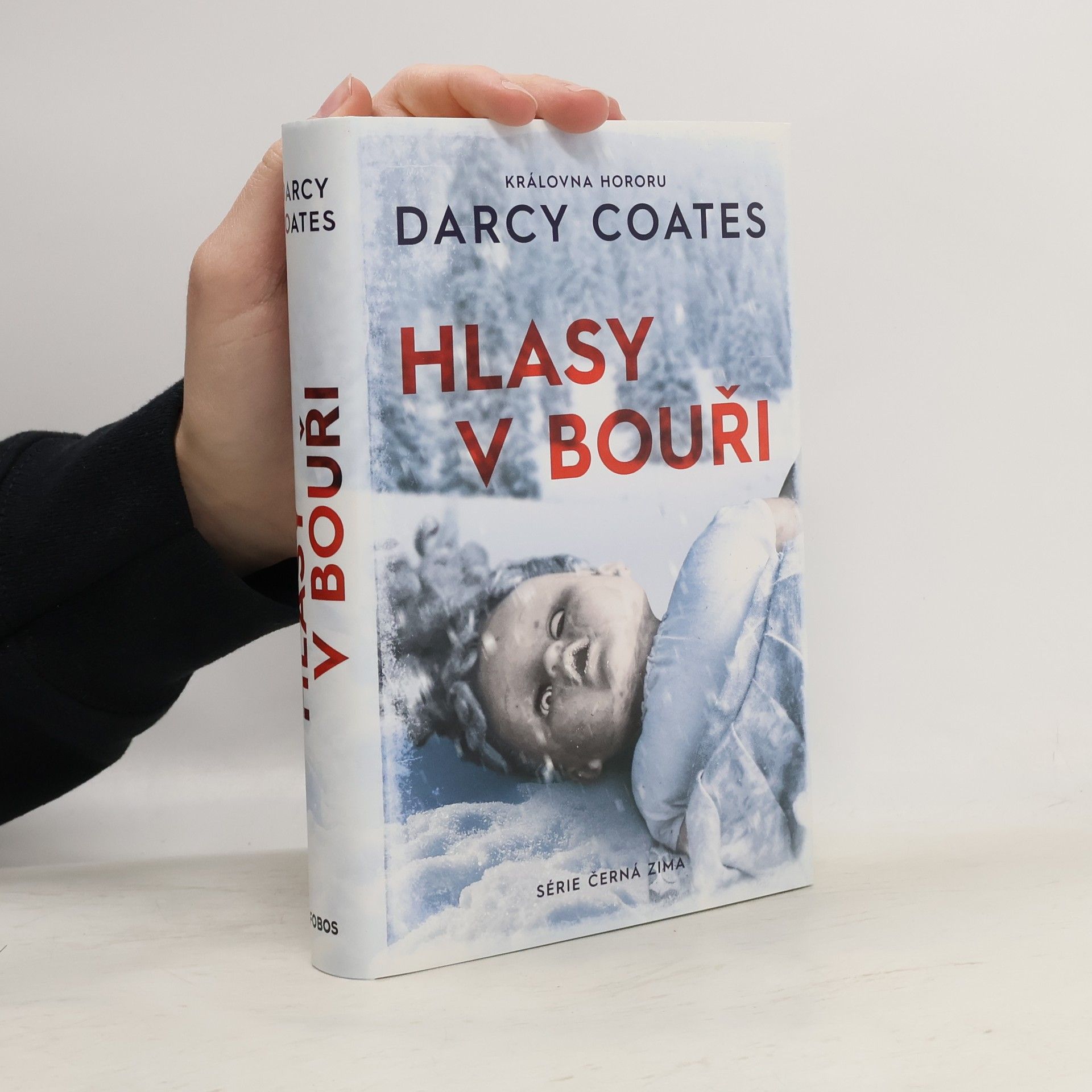 Darcy Coates Hlasy v bouři