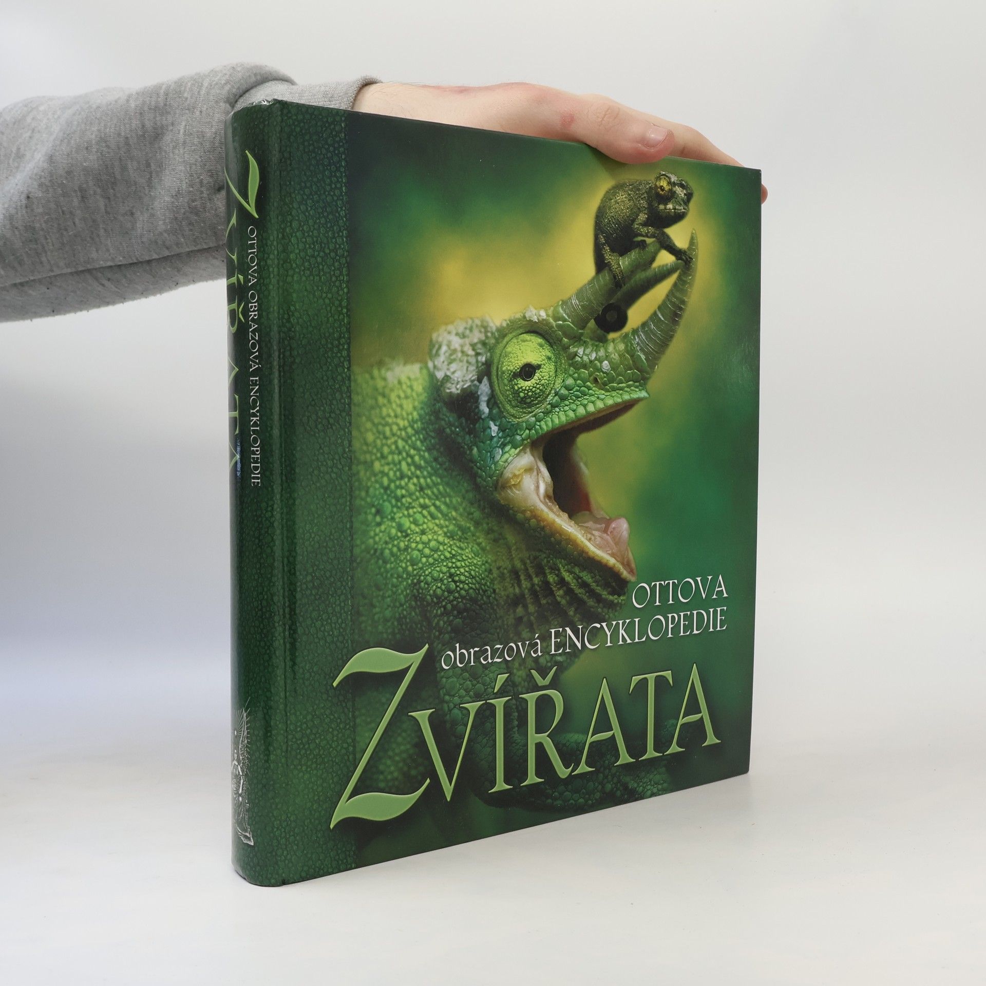 Romana Anděrová Zvířata. Ottova obrazová encyklopedie