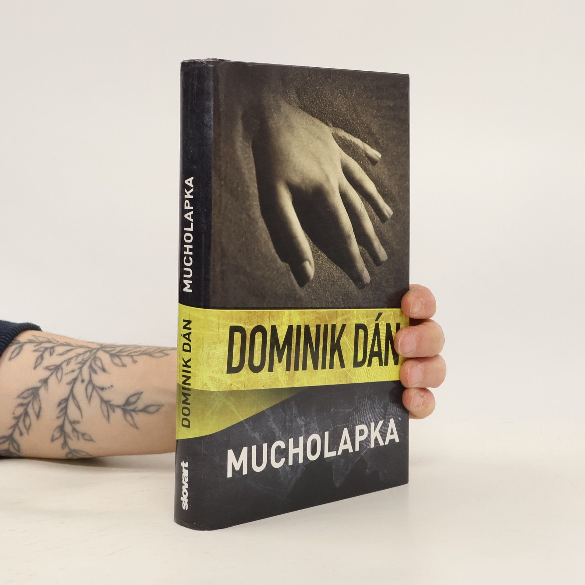 Dominik Dán Mucholapka
