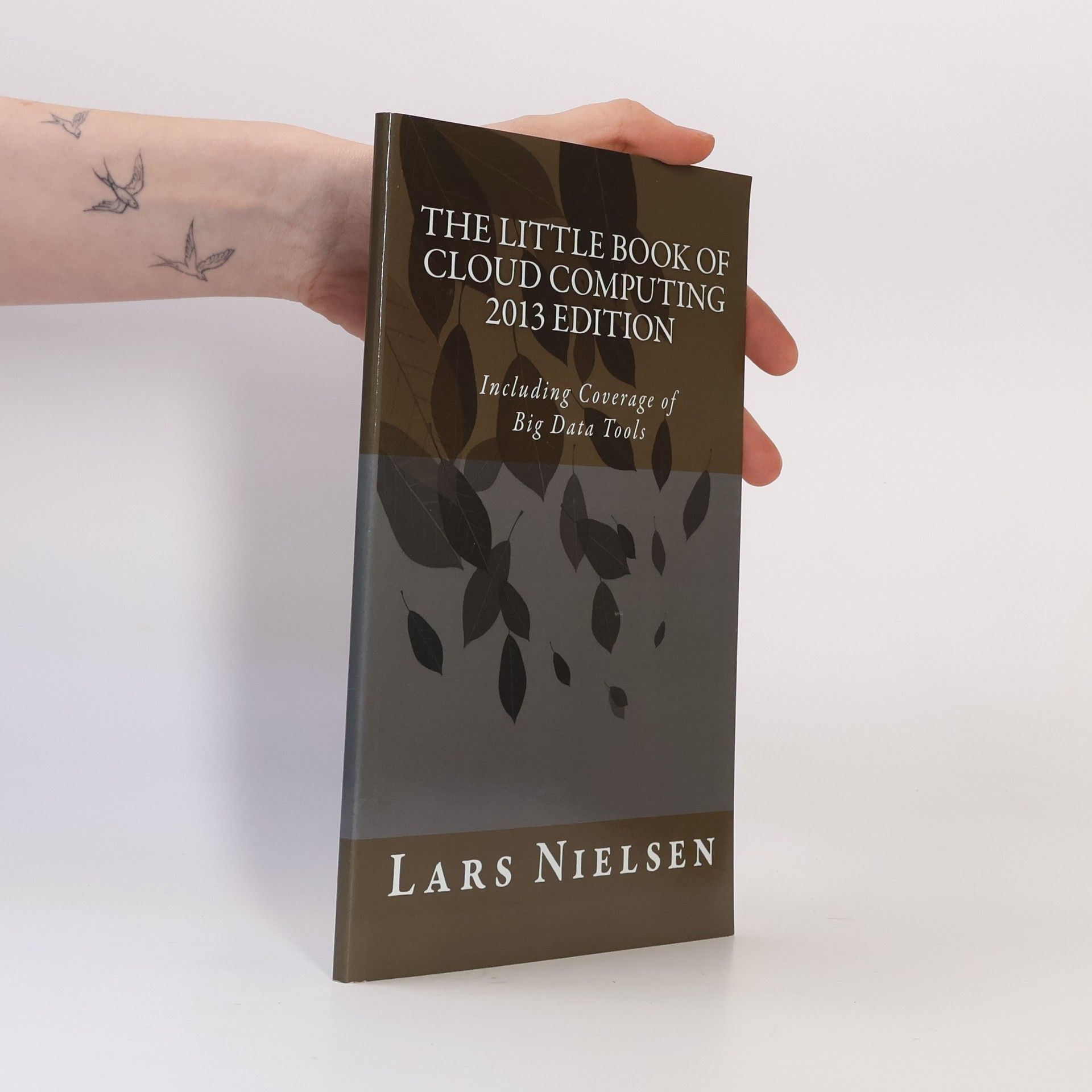 Lars Nielsen The Little Book of Cloud Computing, 2013 Edition