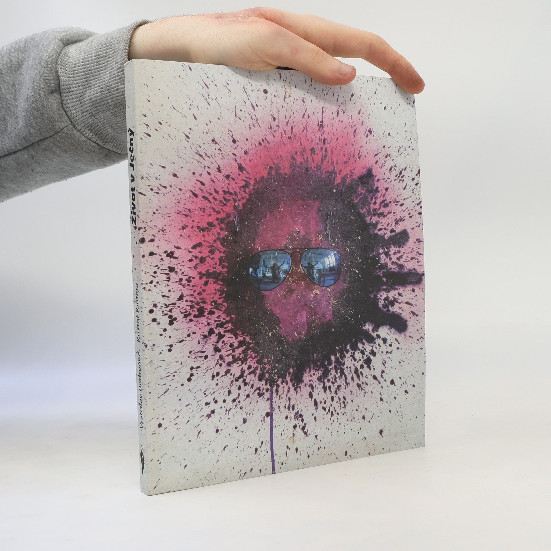 Vratislav Brabenec Život v Ječný