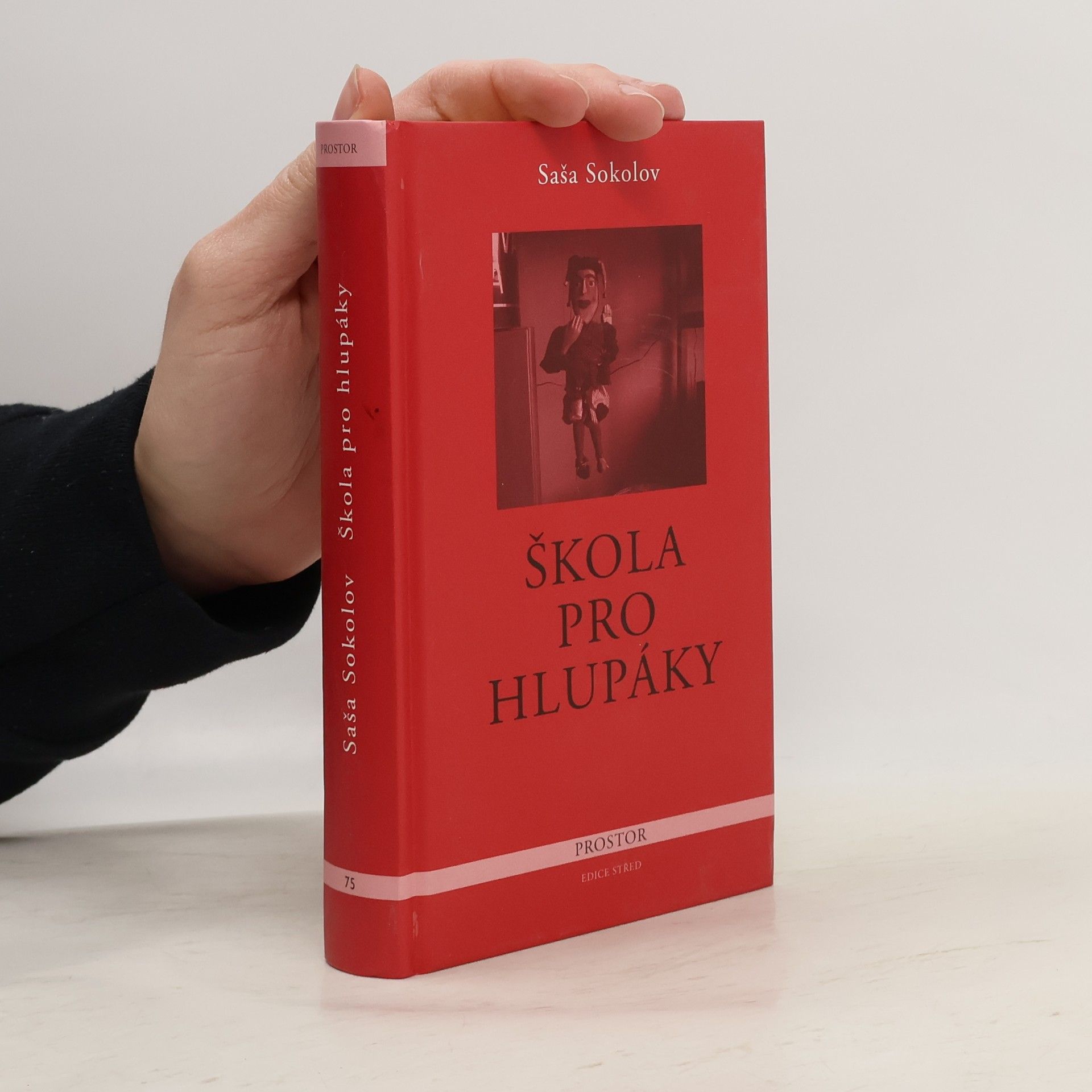 Sasha Sokolov Škola pro hlupáky