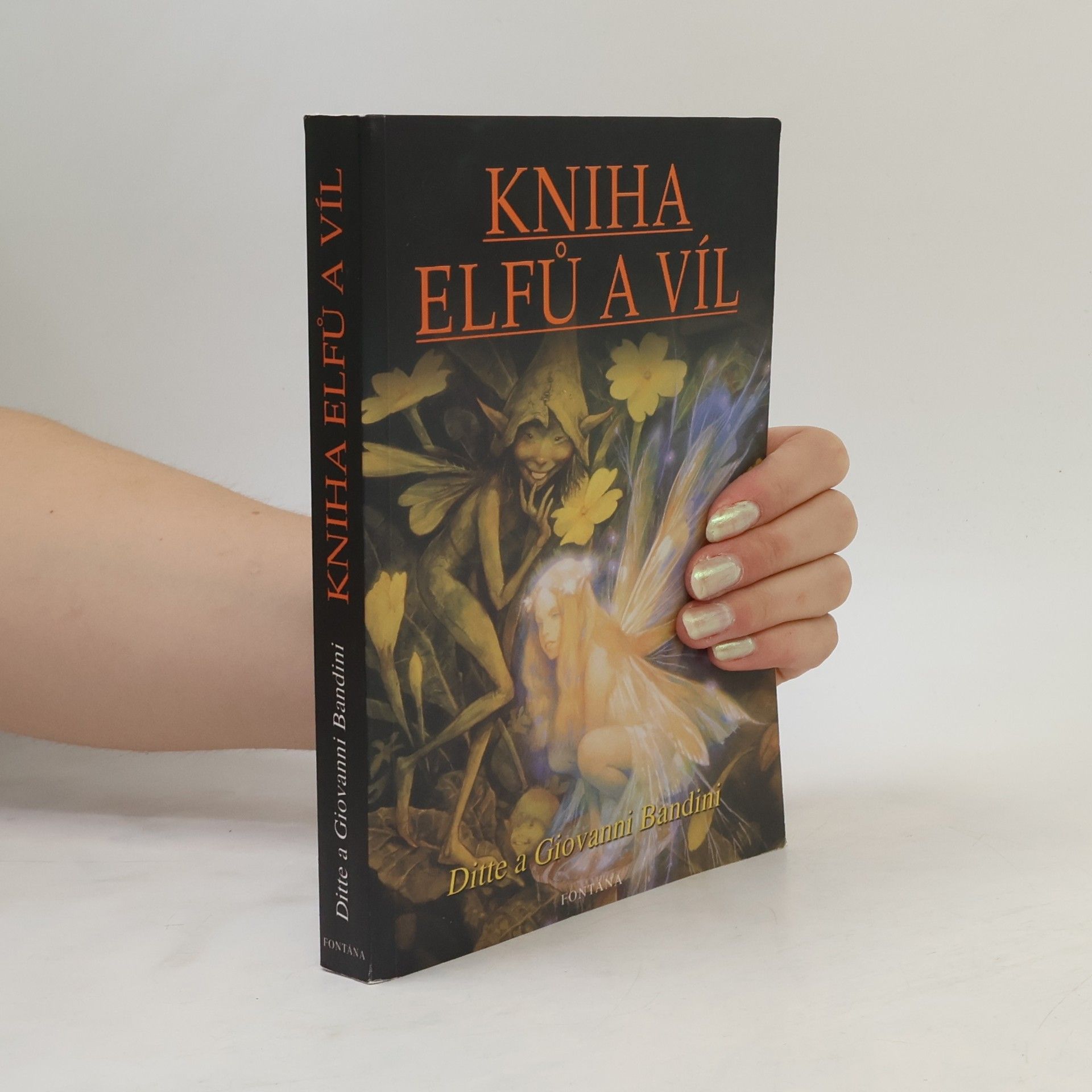 Ditte Bandini Kniha elfů a víl