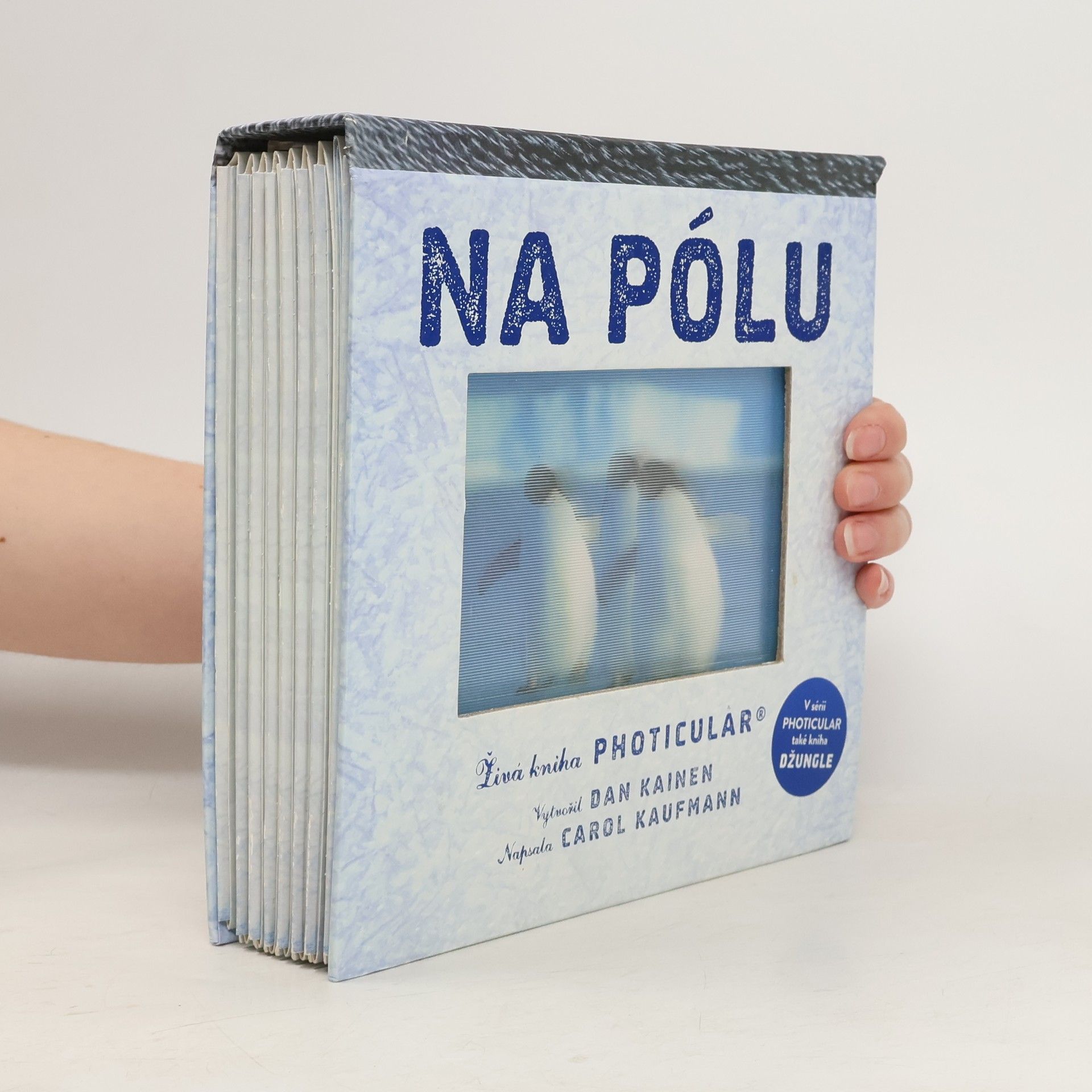 Dan Kainen Na pólu
