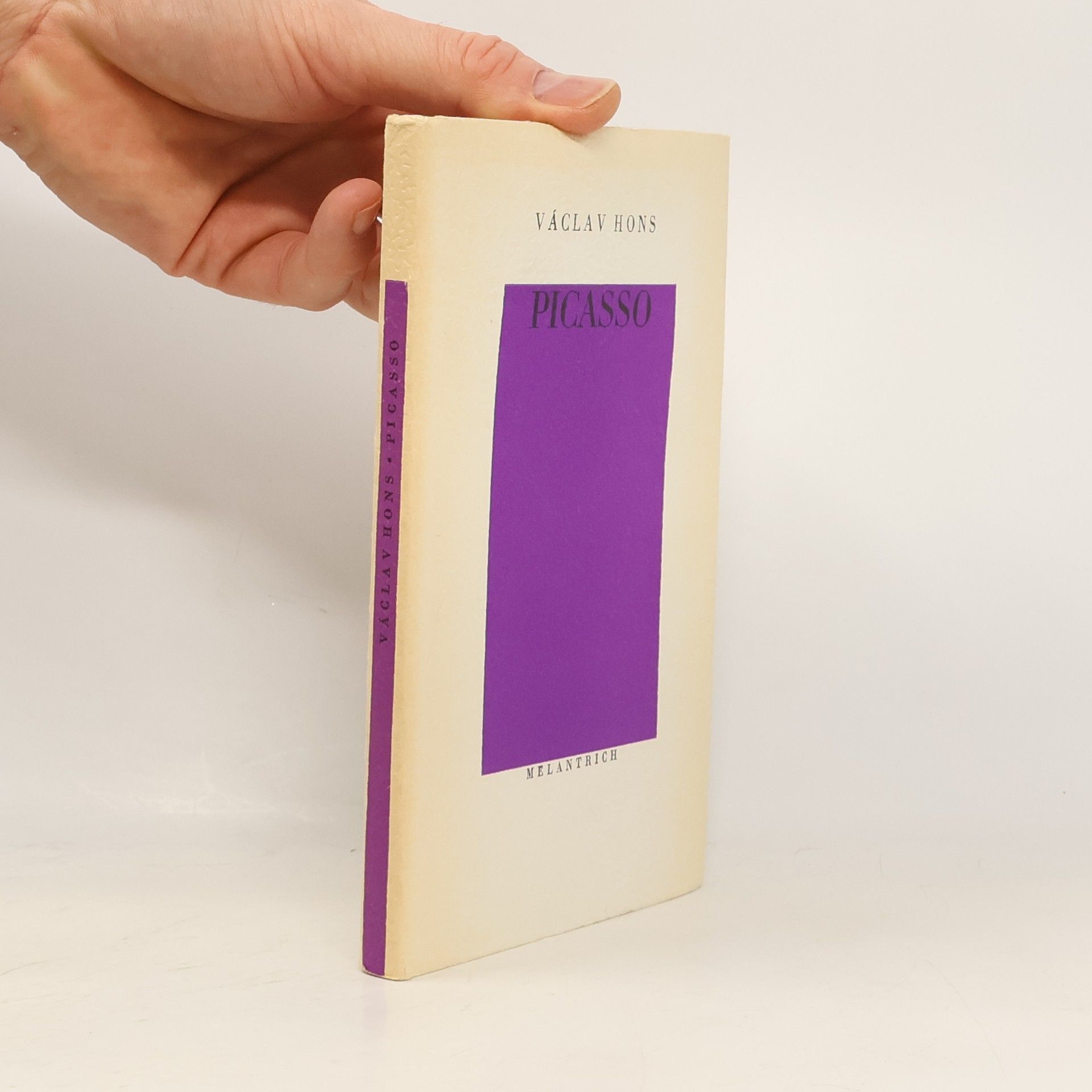 Václav Hons Picasso