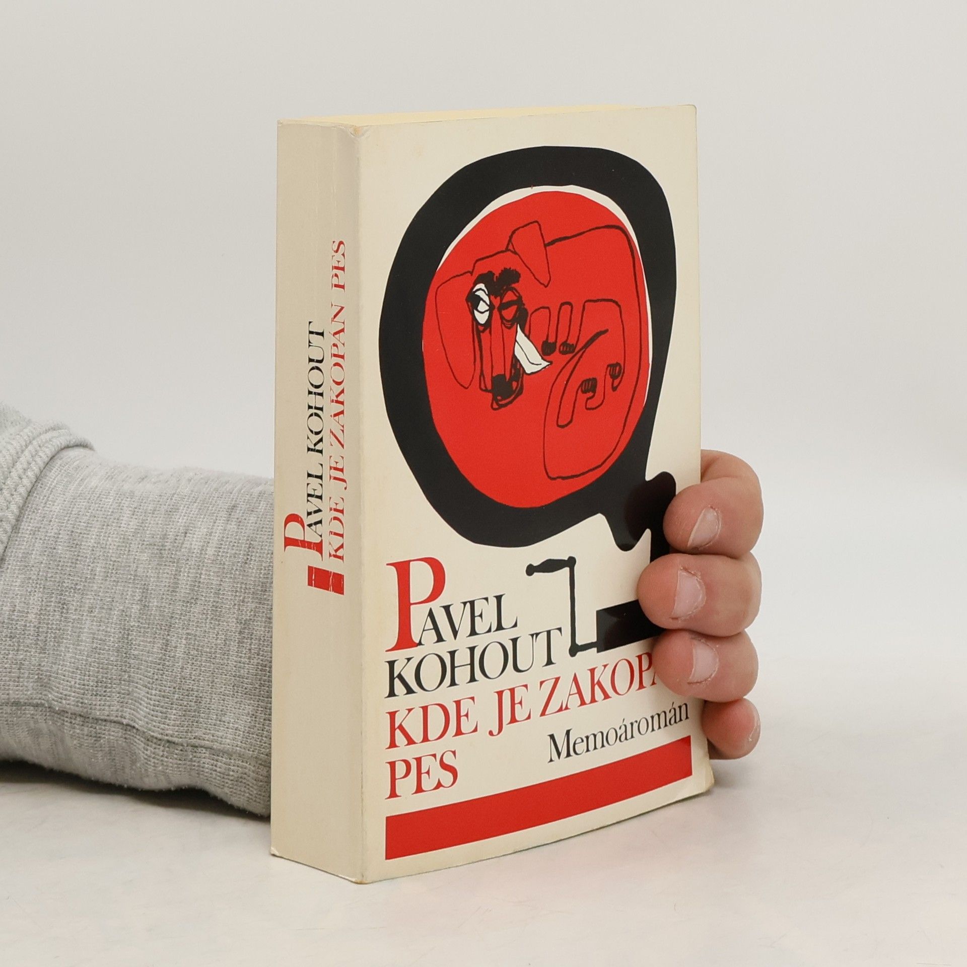 Pavel Kohout Kde je zakopán pes