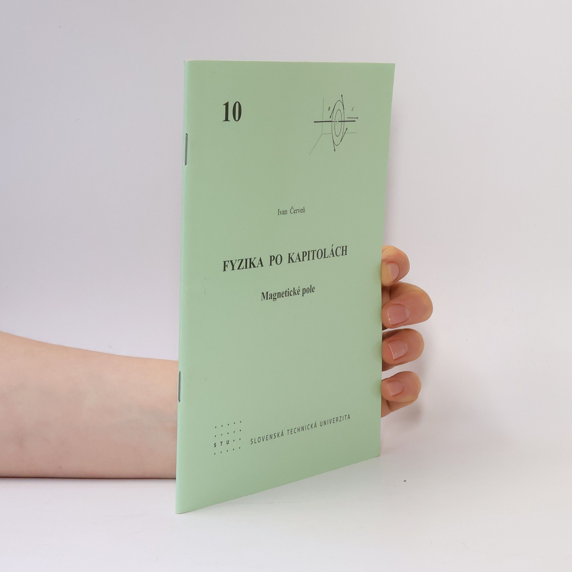 Ivan Červeň Fyzika po kapitolách. Magnetické pole 10