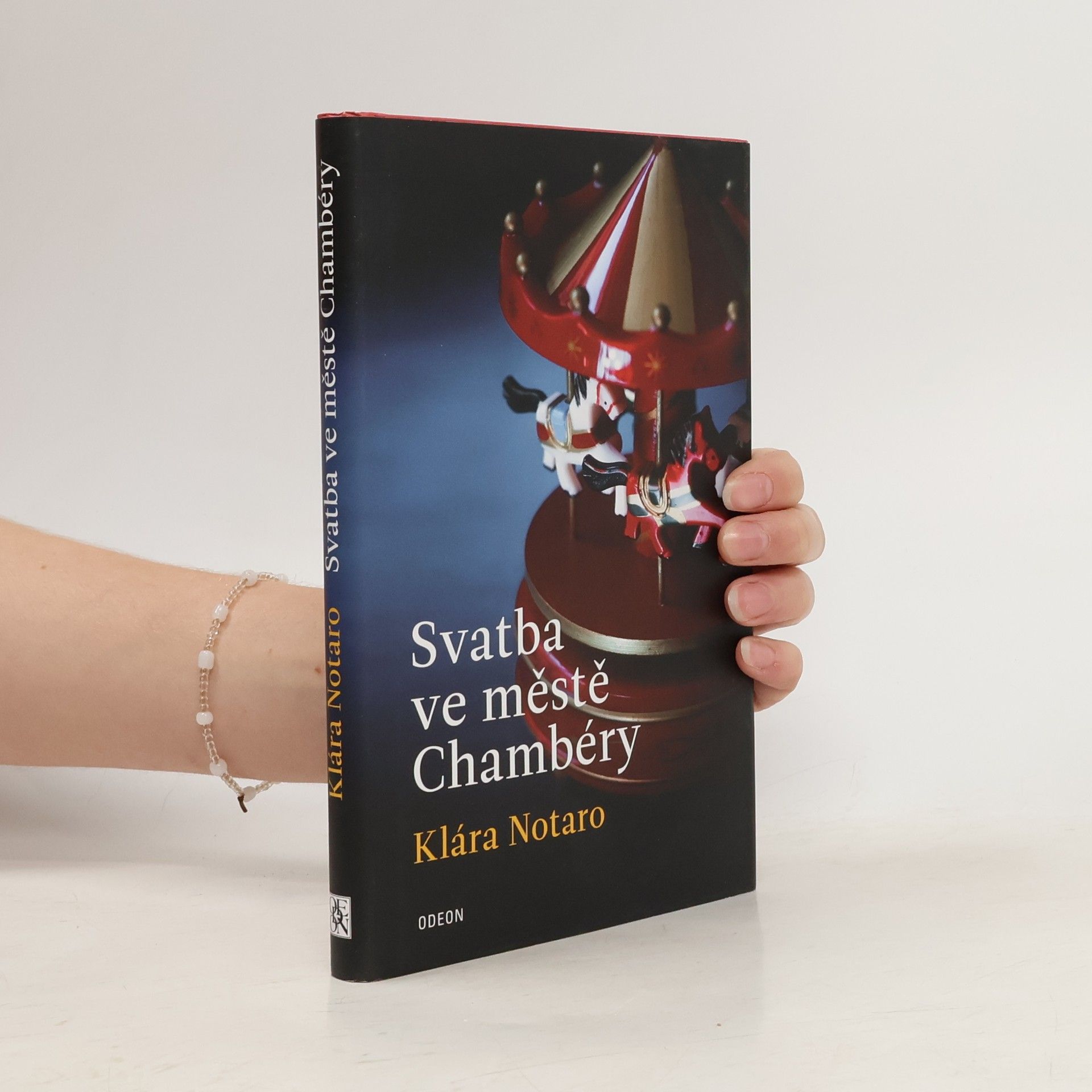 Klára Notaro Svatba ve městě Chambéry