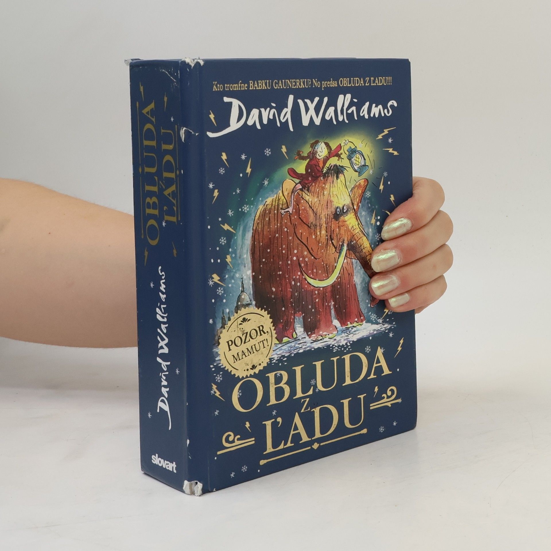 David Walliams Obluda z ľadu