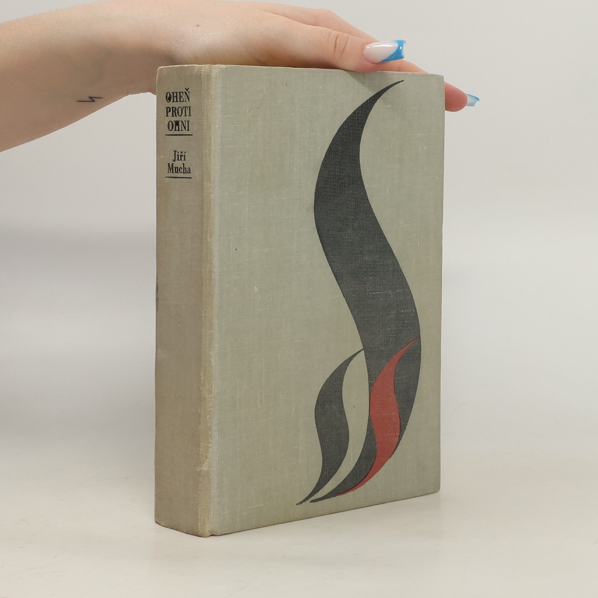 Jiří Mucha Oheň proti ohni