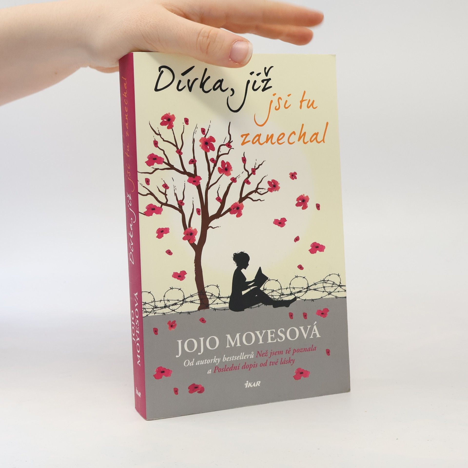 Jojo Moyes Dívka, již jsi tu zanechal
