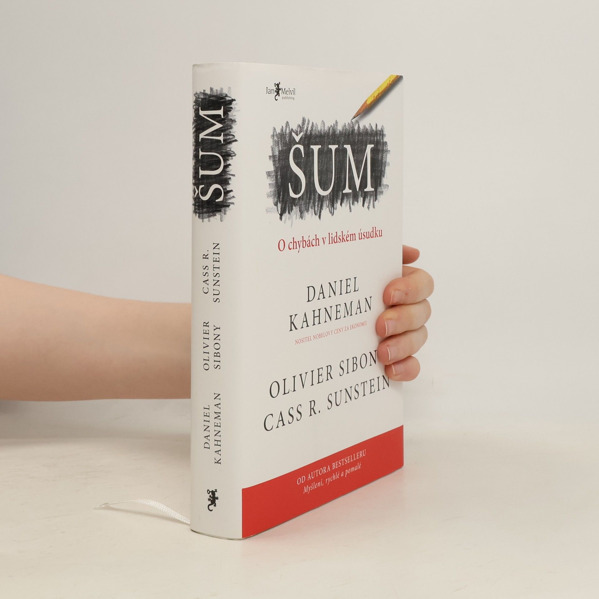 Daniel Kahneman Šum : o chybách v lidském úsudku