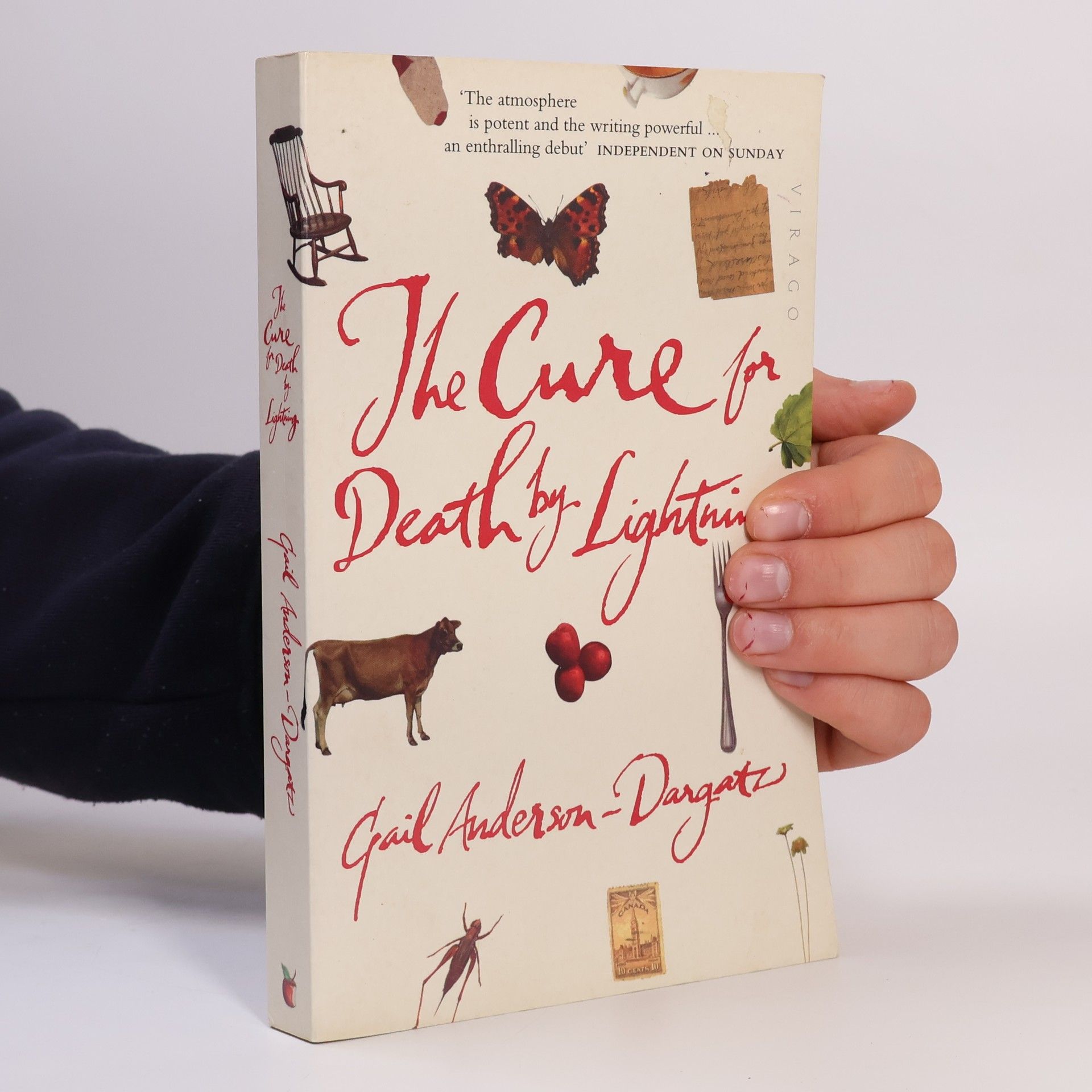 Gail Anderson-Dargatz The Cure for Death by Lightning