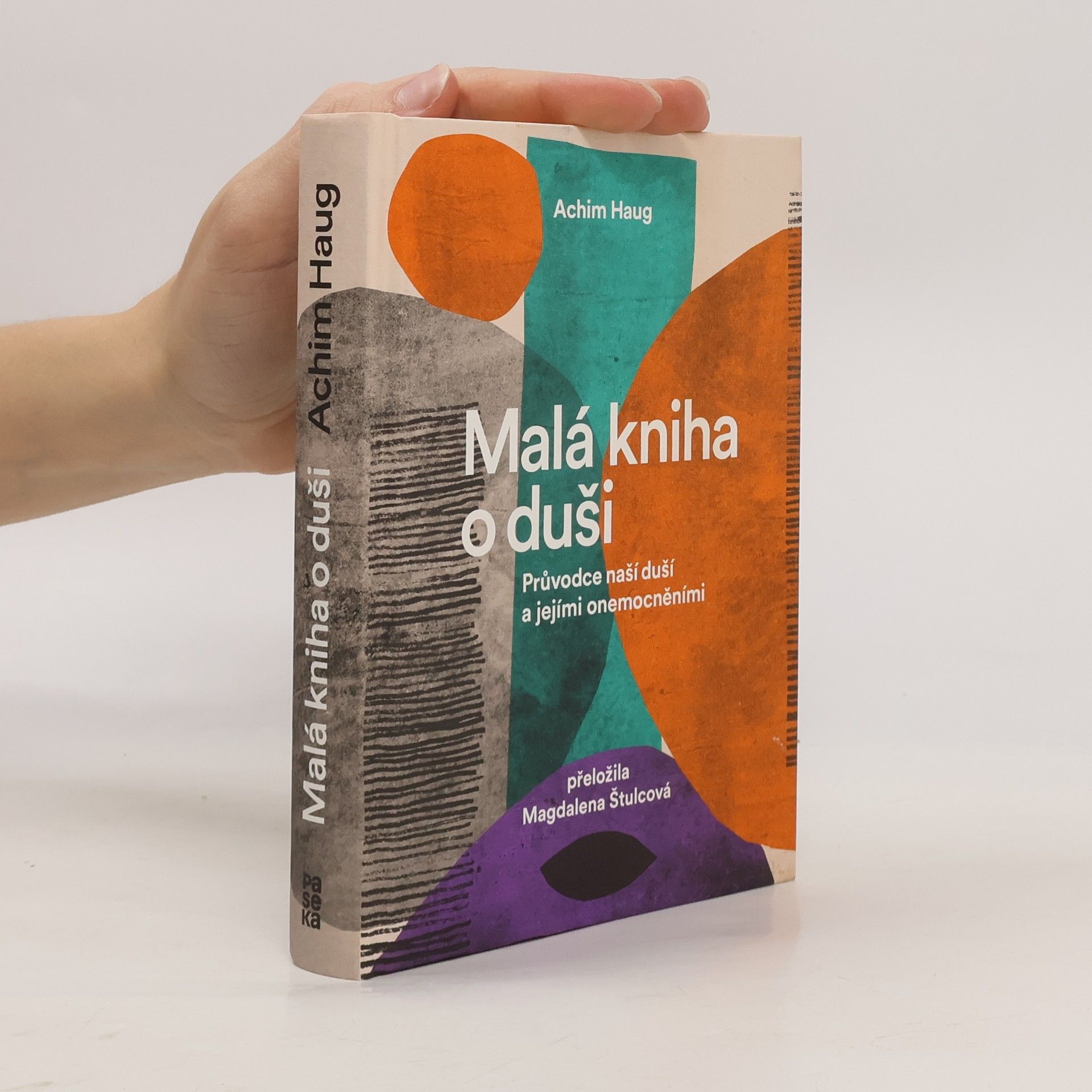 Malá kniha o duši. Průvodce na cesty naší psýchou a jejími nemocemi