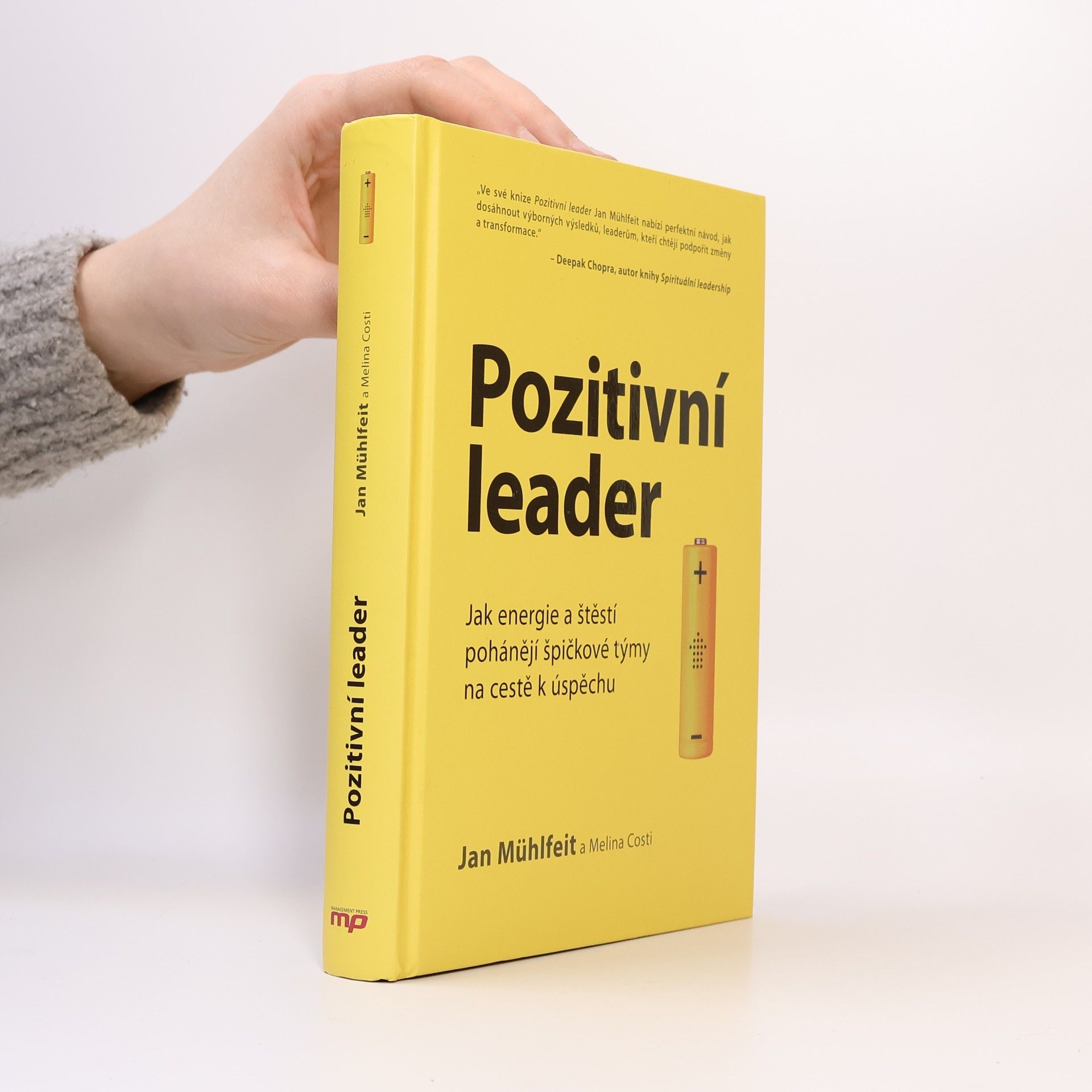 Jan Mühlfeit Pozitivní leader