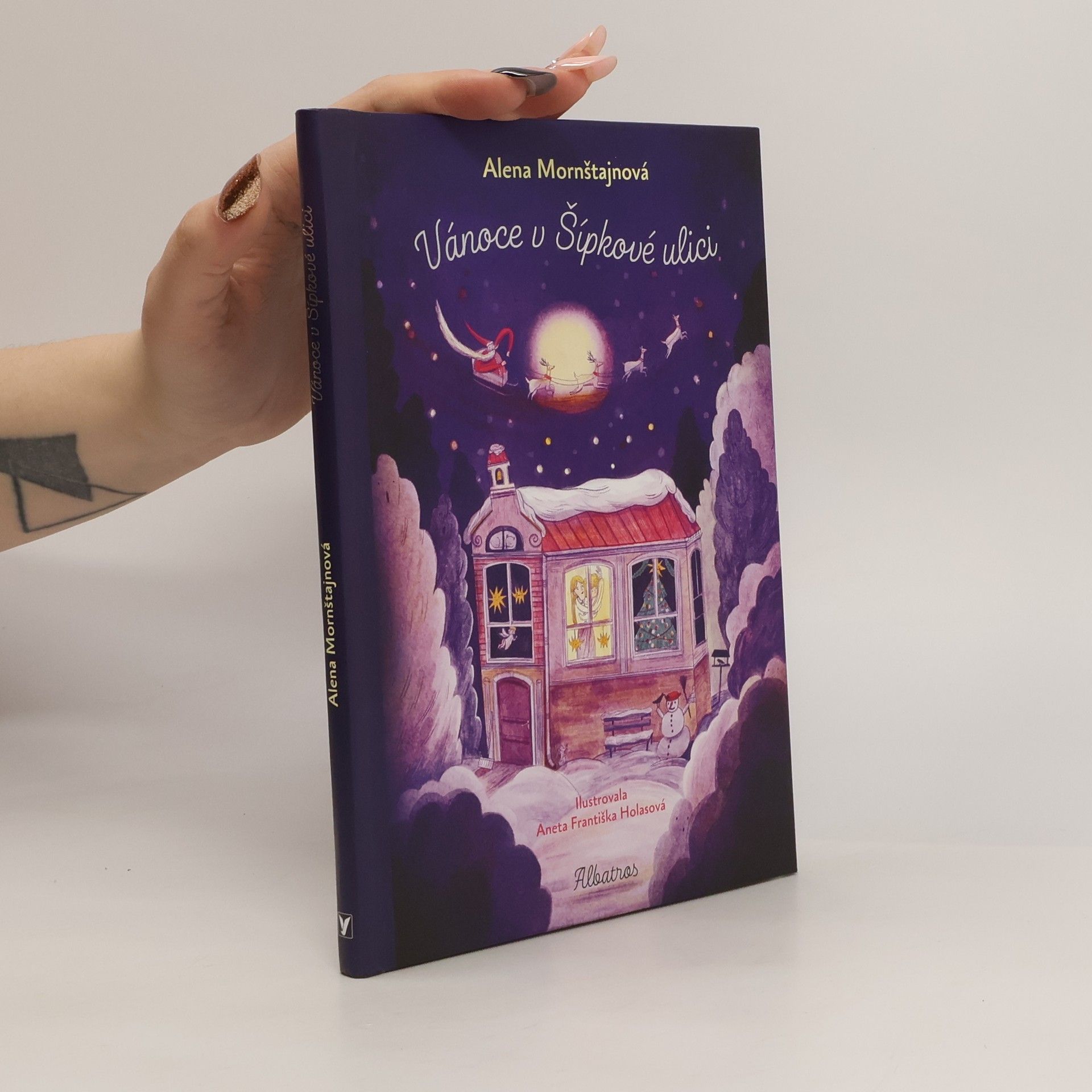 Alena Mornštajnová Vánoce v Šípkové ulici