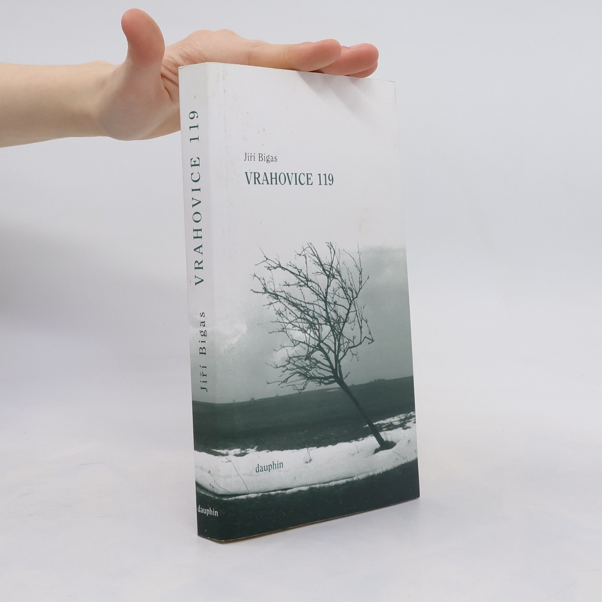 Jiří Bigas Vrahovice 119