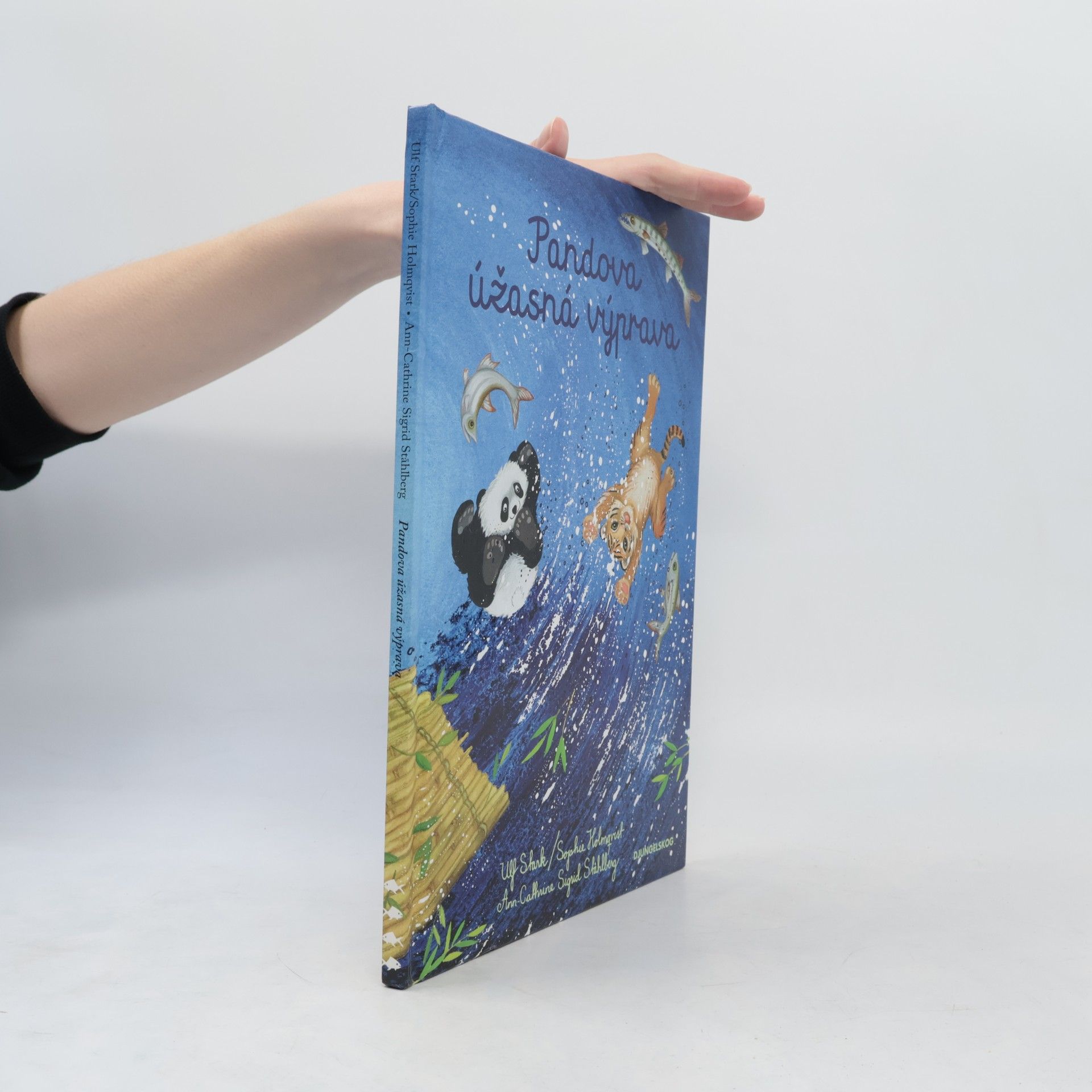 Kolektiv autorů Pandova úžasná výprava