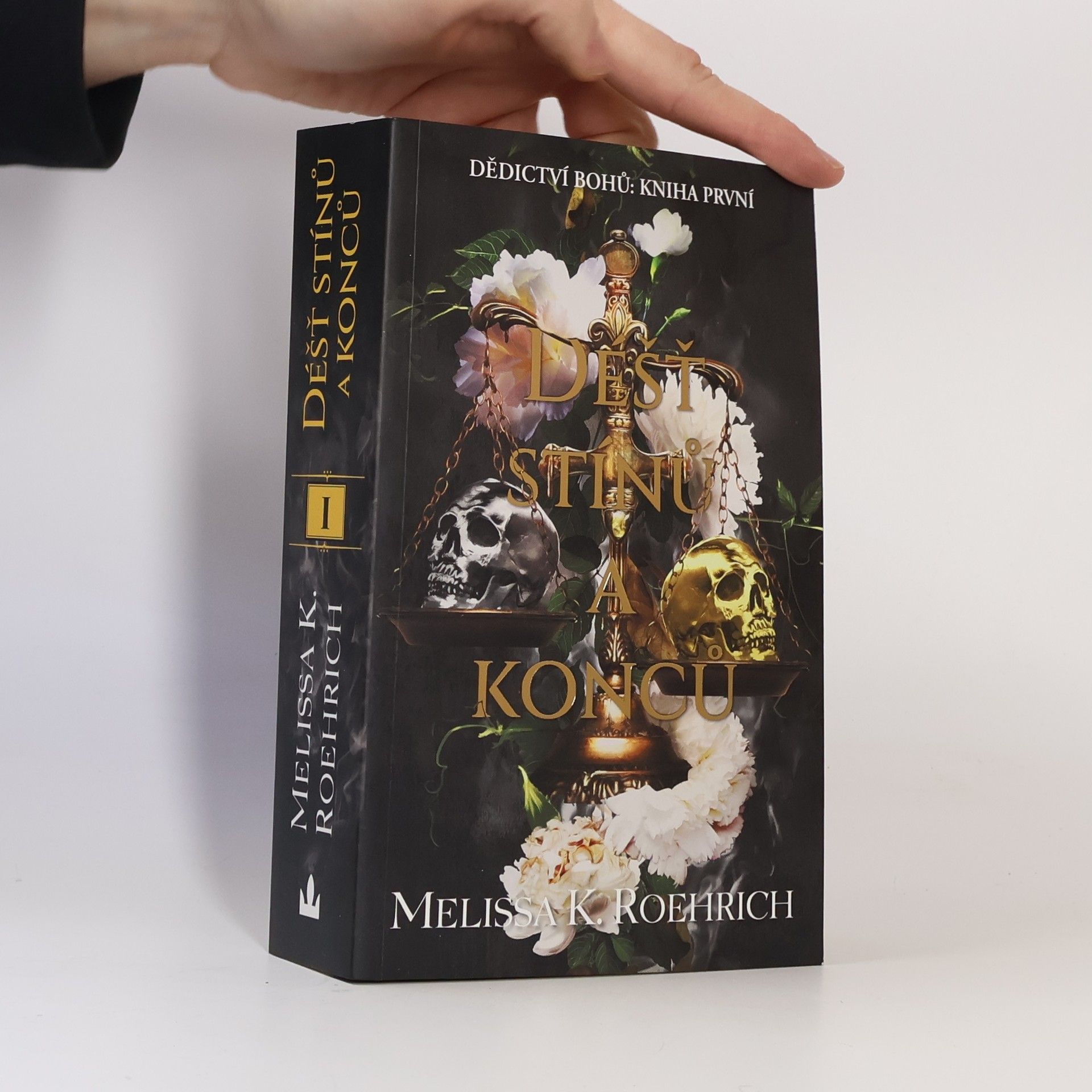 Déšť stínů a konců