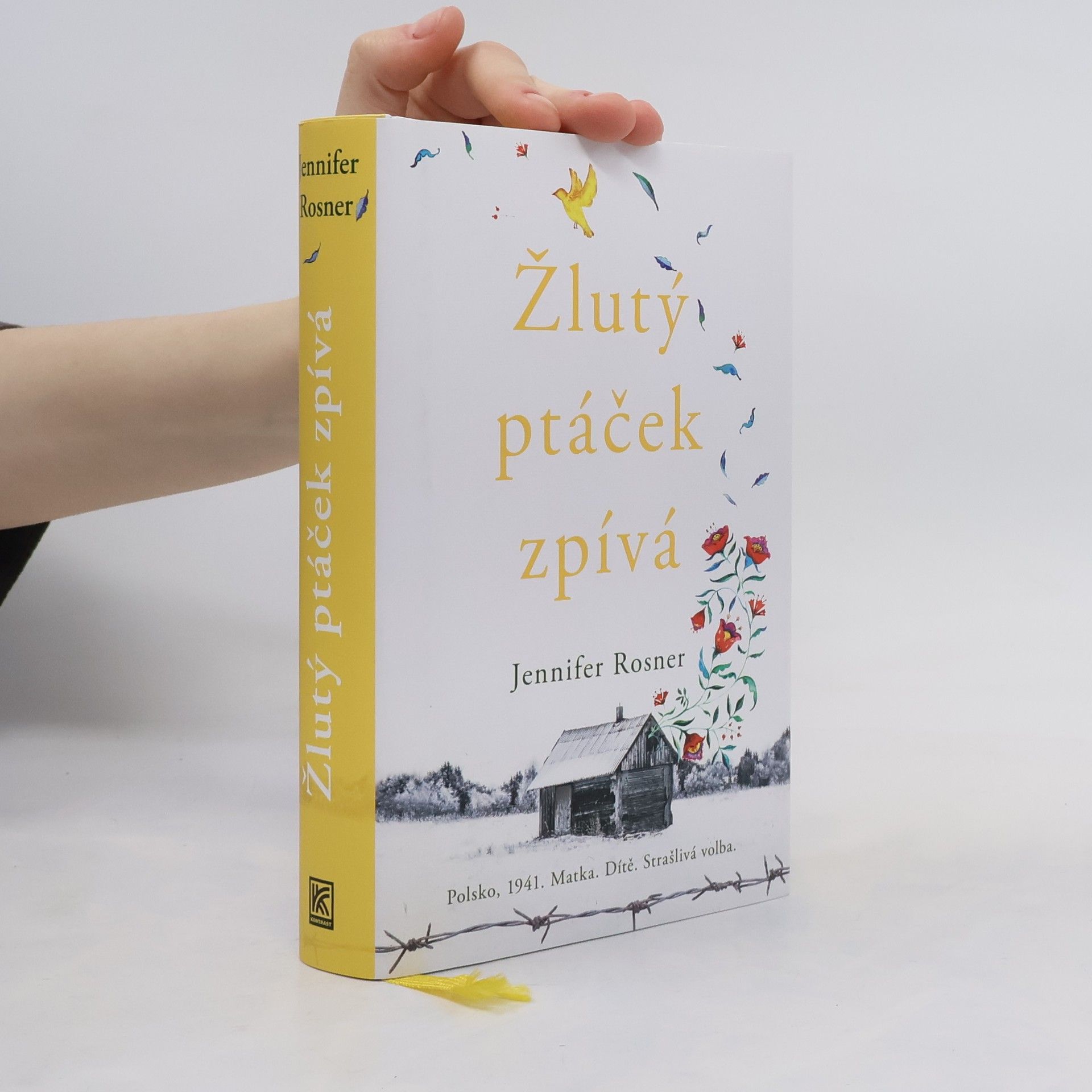 Jennifer Rosner Žlutý ptáček zpívá