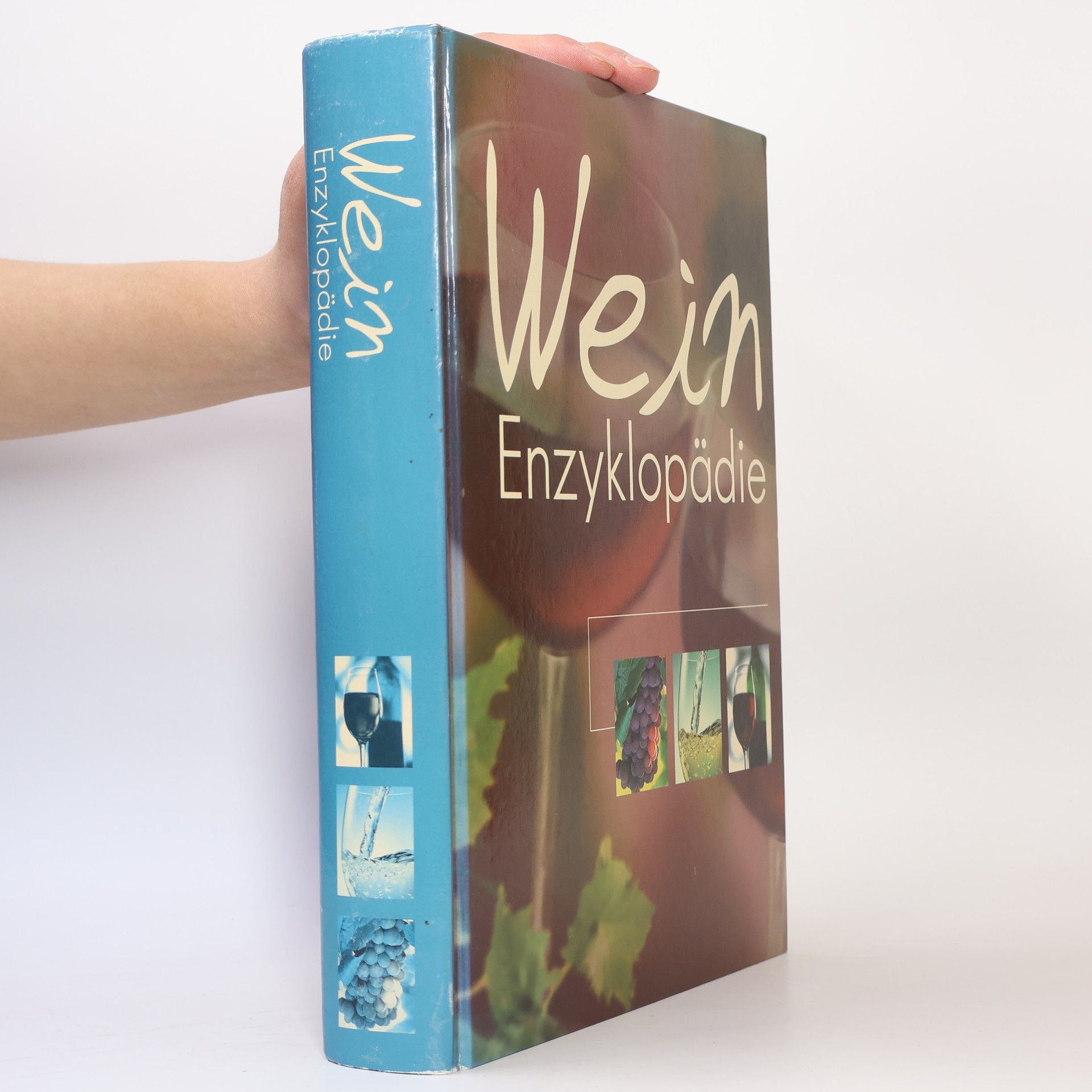 Various authors Wein Enzyklopädie