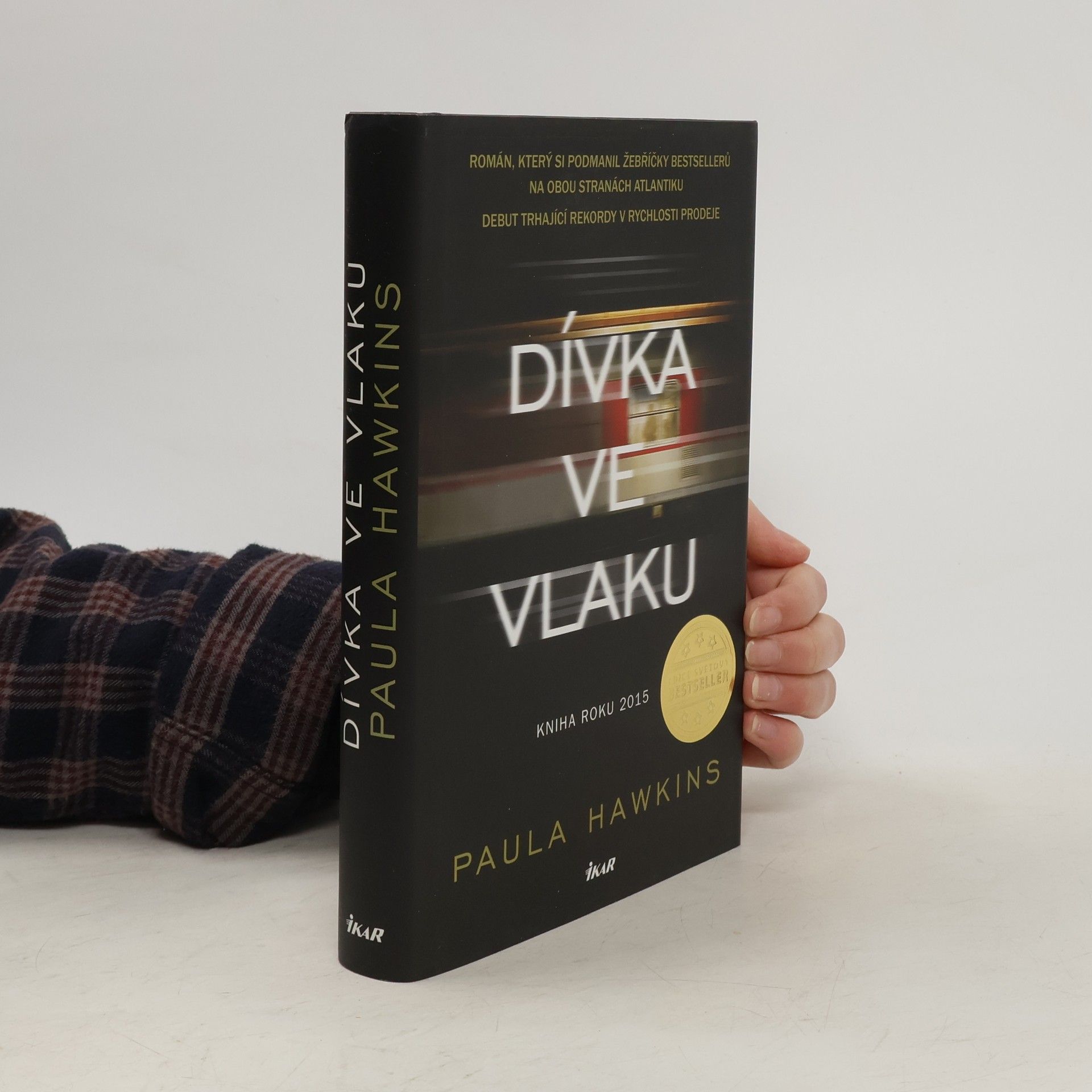 Dívka ve vlaku
