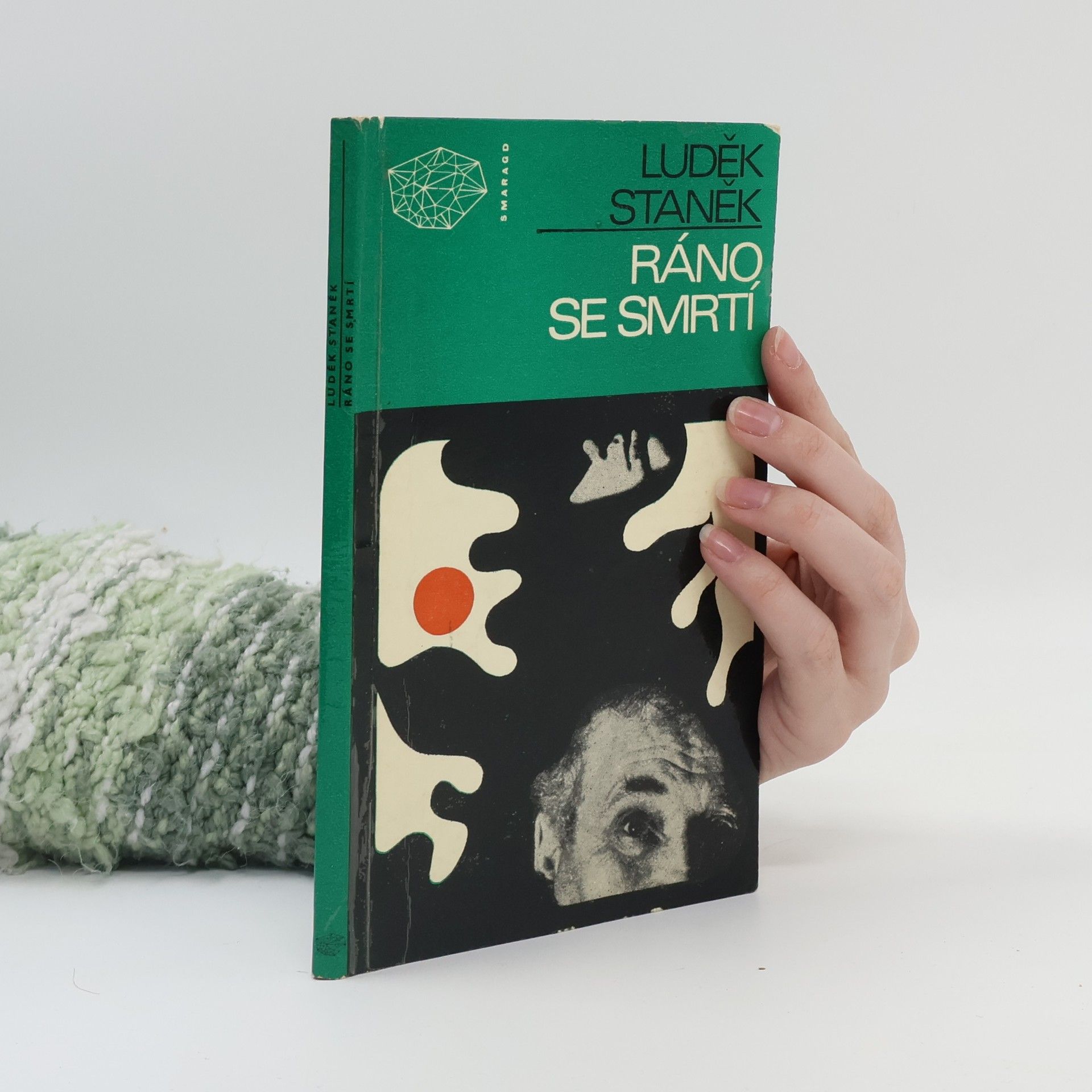 Luděk Staněk Ráno se smrtí