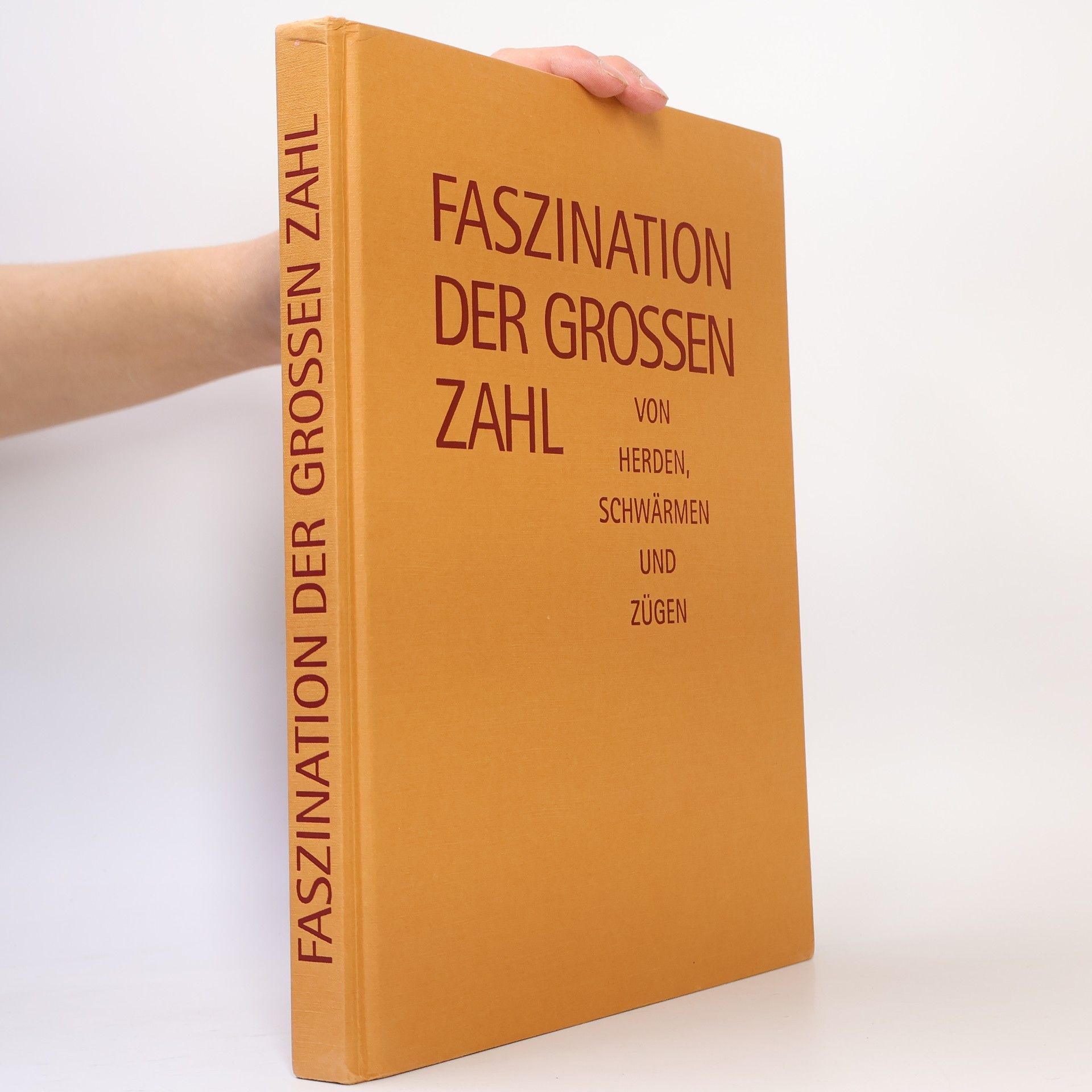 Autorenkollektiv Faszination der grossen Zahl