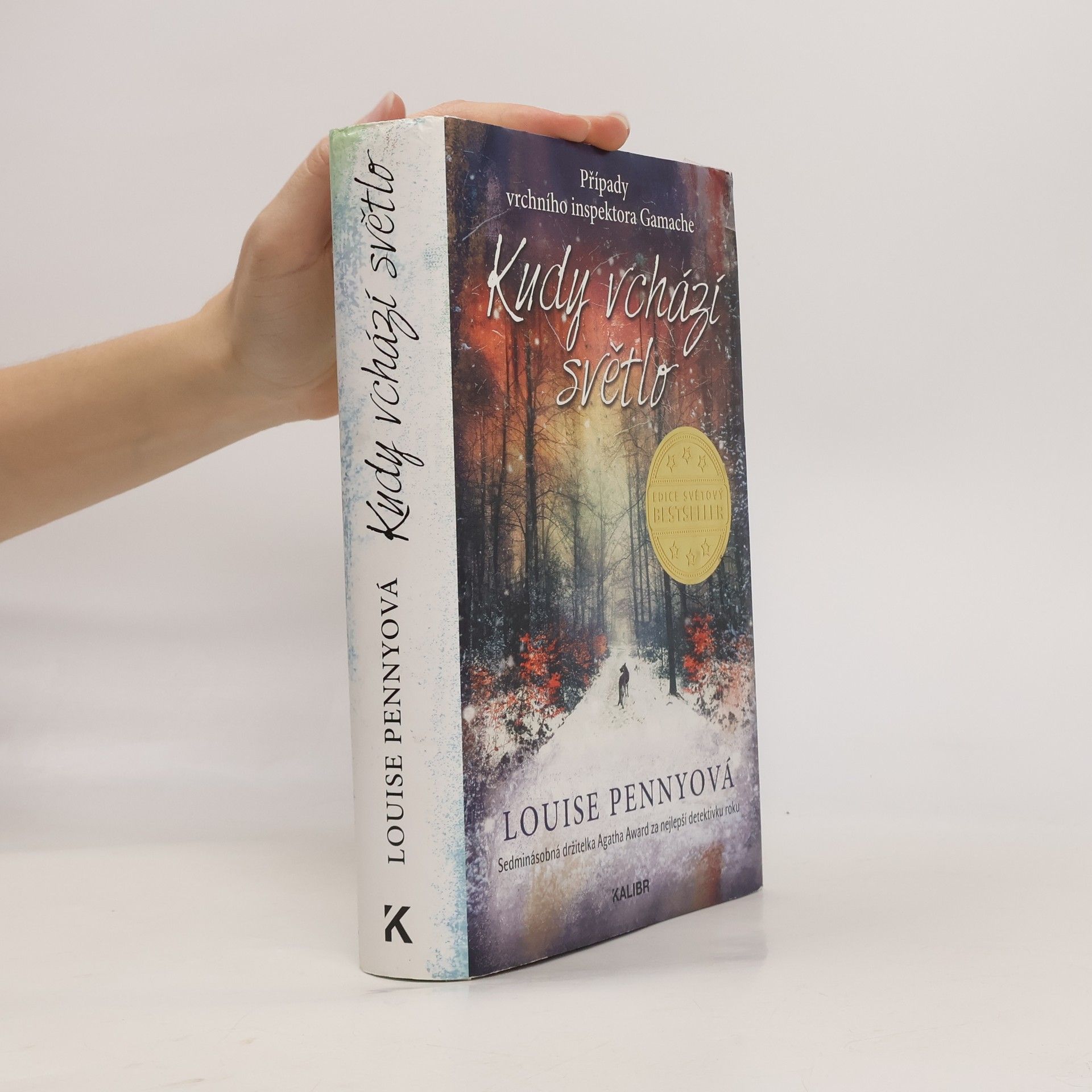 Louise Penny Kudy vchází světlo