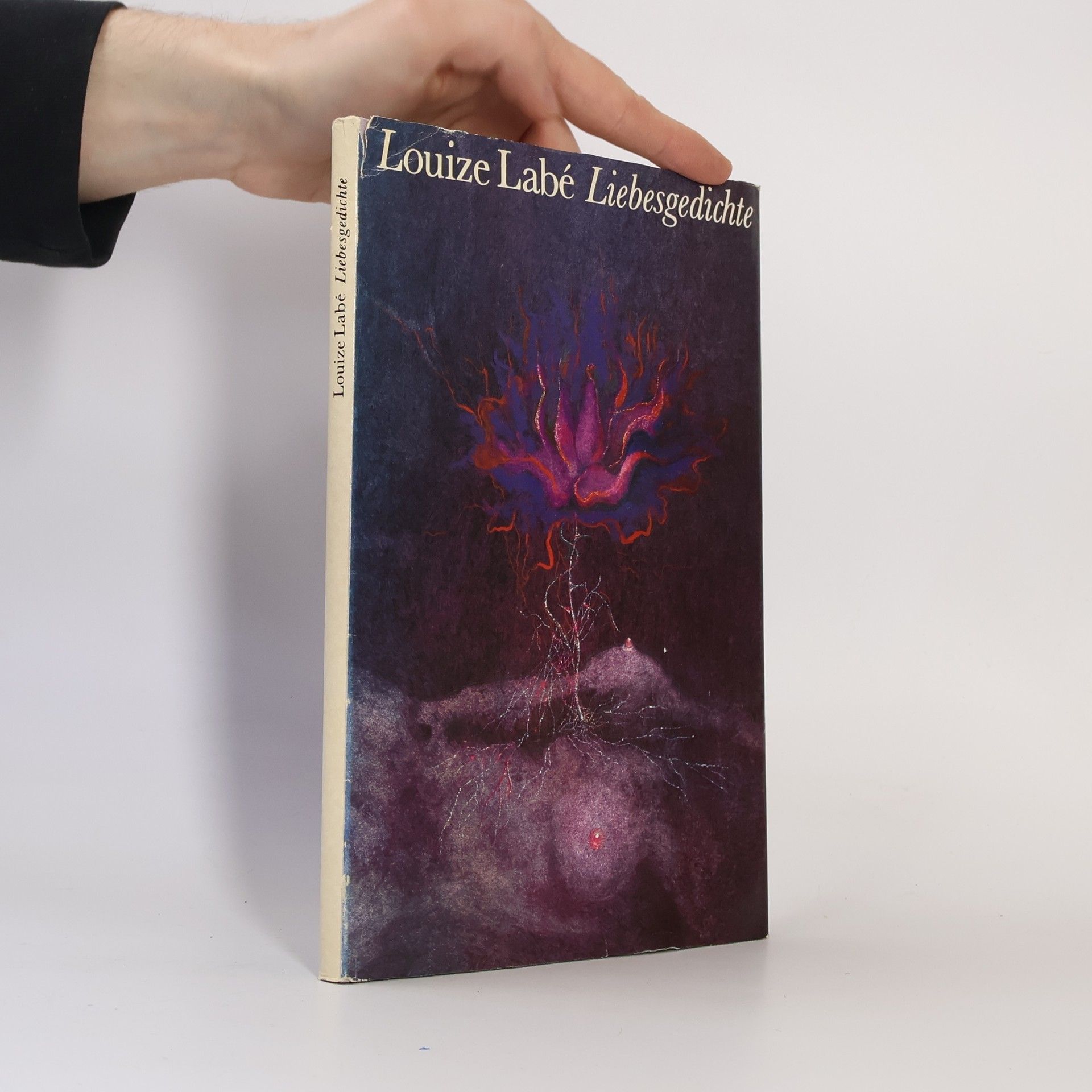 Louize Labé Liebesgedichte