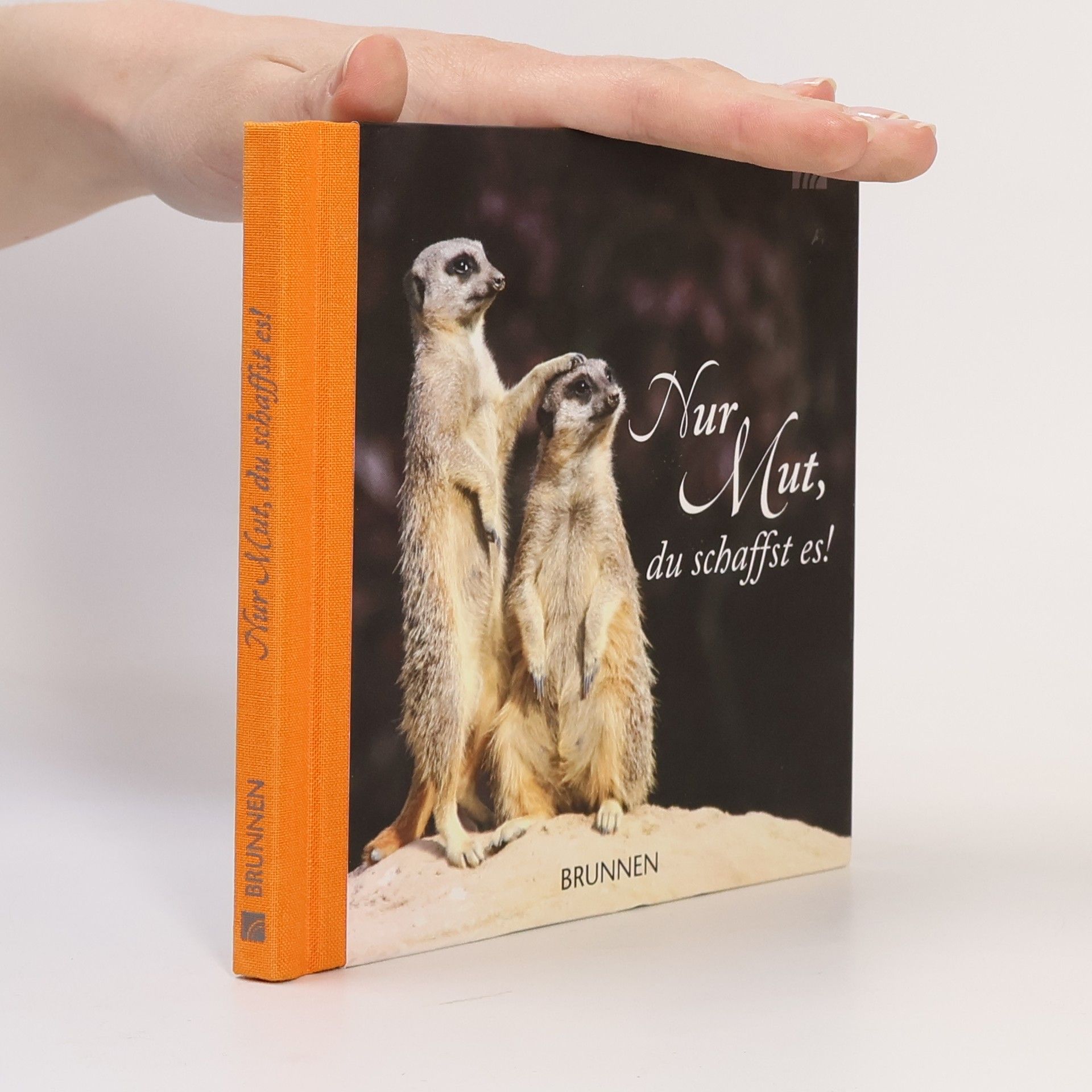 Autorenkollektiv Nur Mut, du schaffst es!