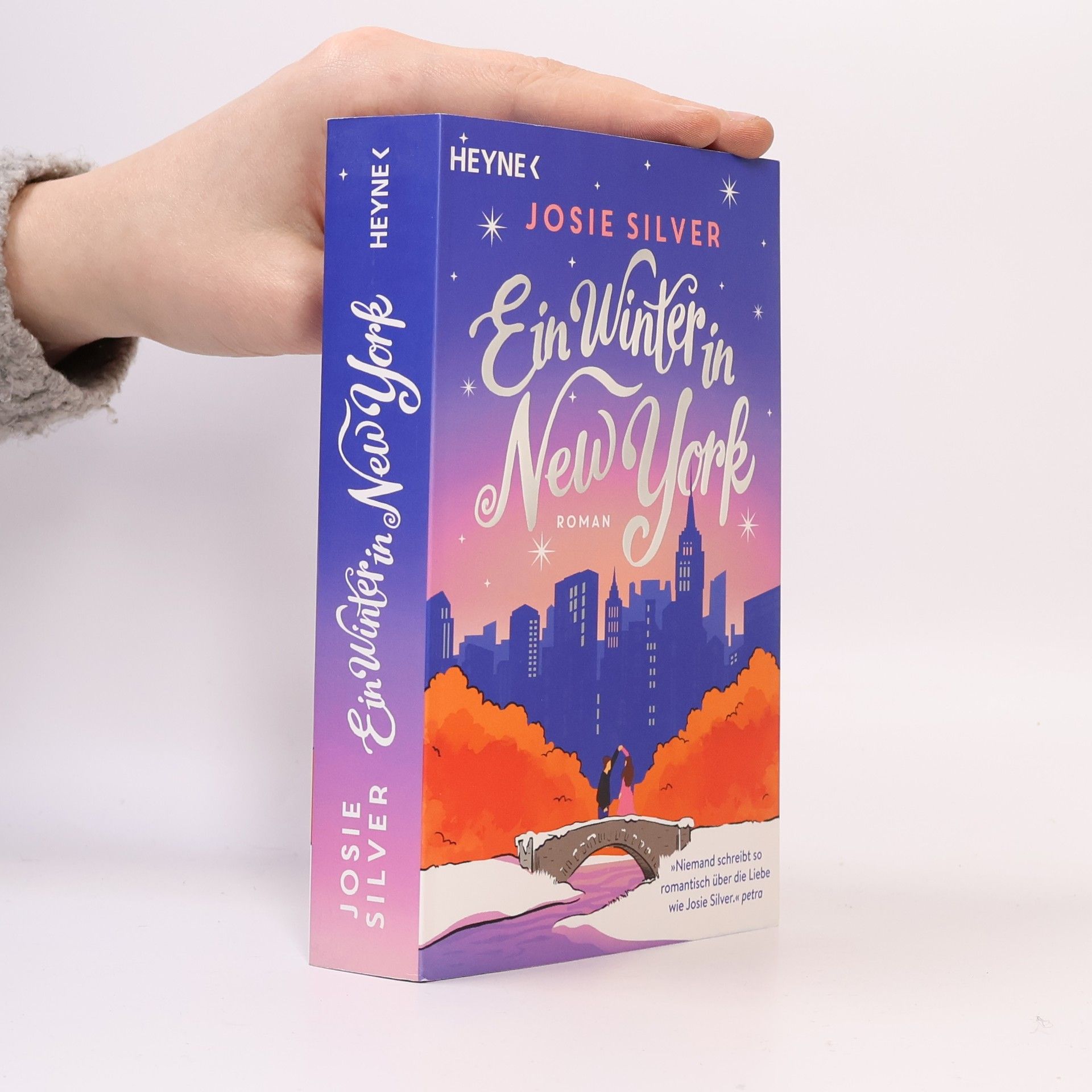 Ein Winter in New York