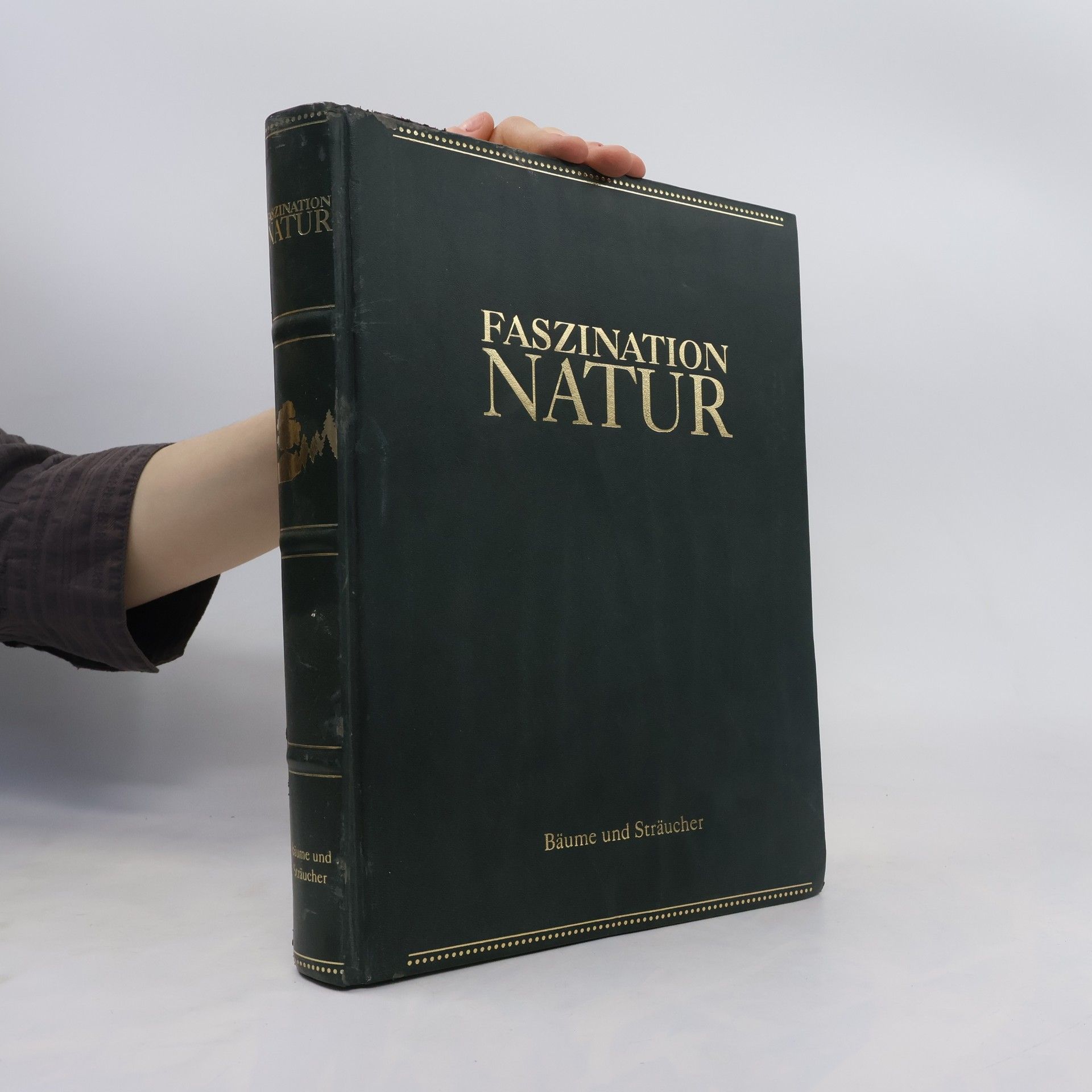 Bernadette Andre Wallis Faszination Natur