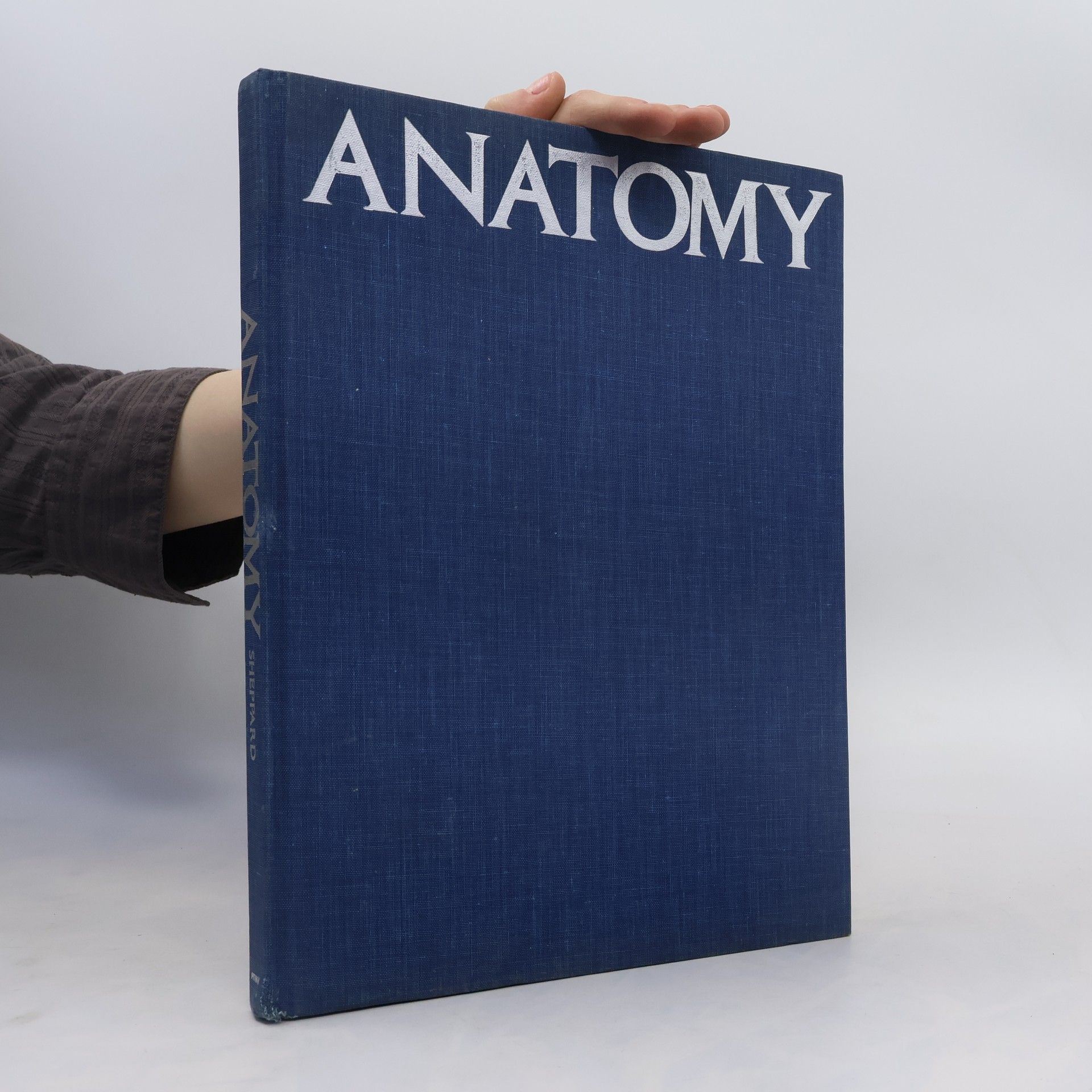 Joseph Sheppard Anatomy