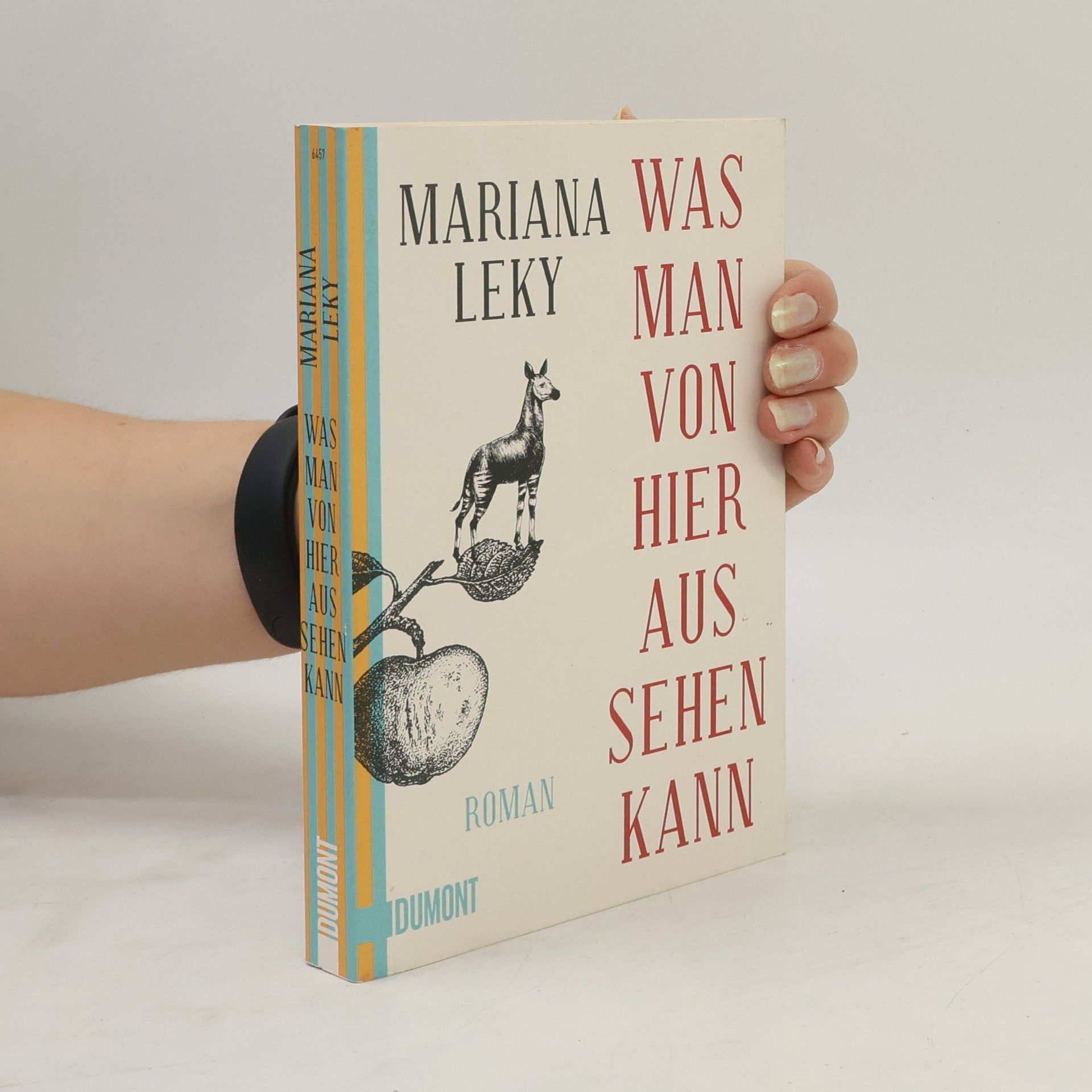 Mariana Leky Was man von hier aus sehen kann