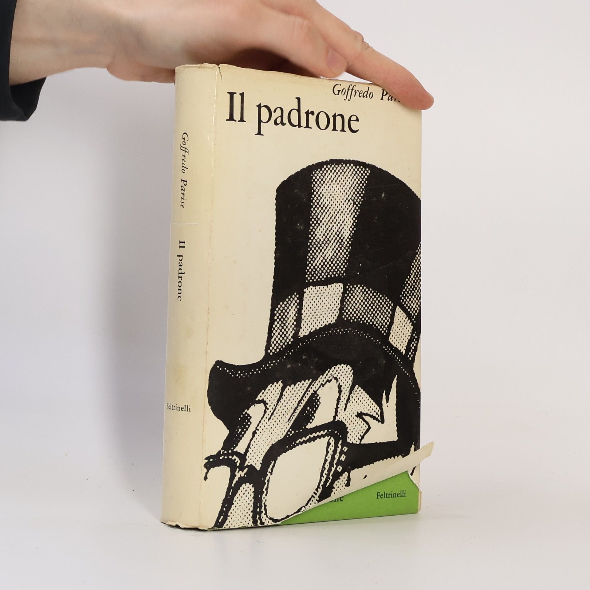 Goffredo Parise Il padrone