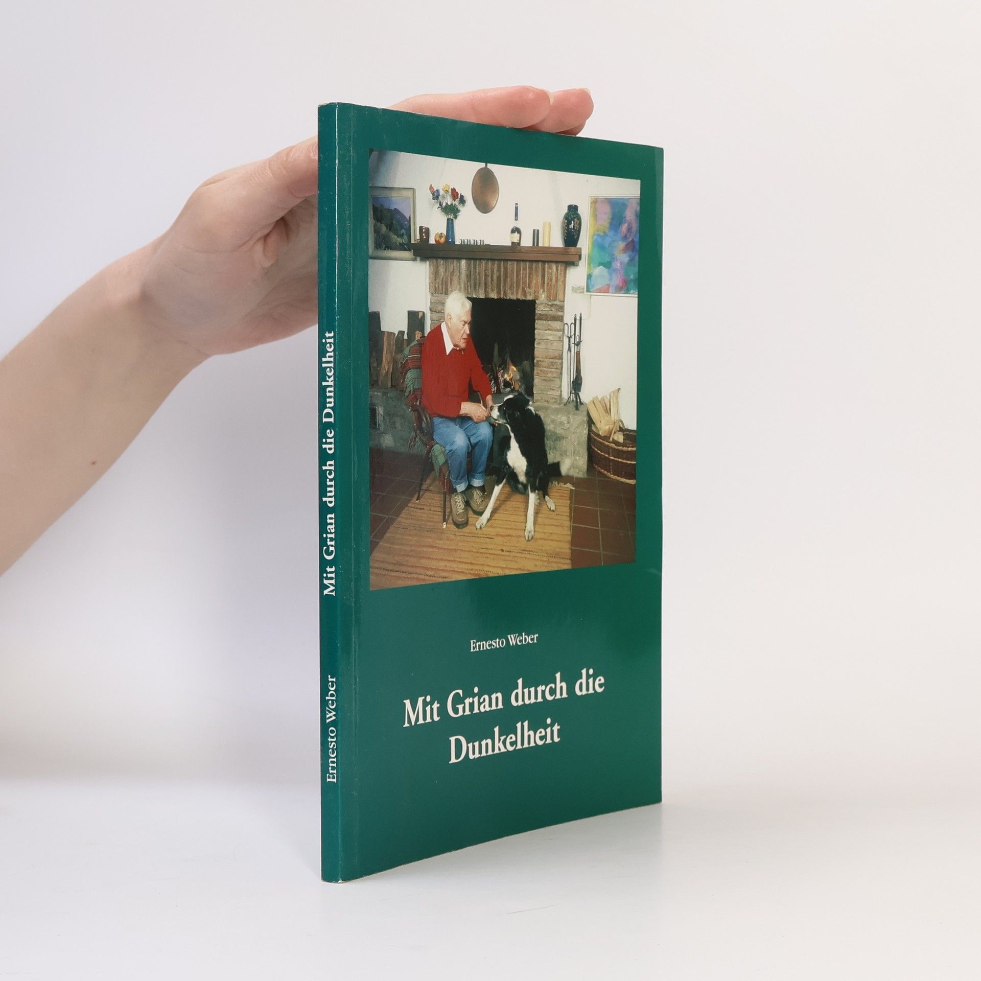 Ernesto Weber Mit Grian durch die Dunkelheit