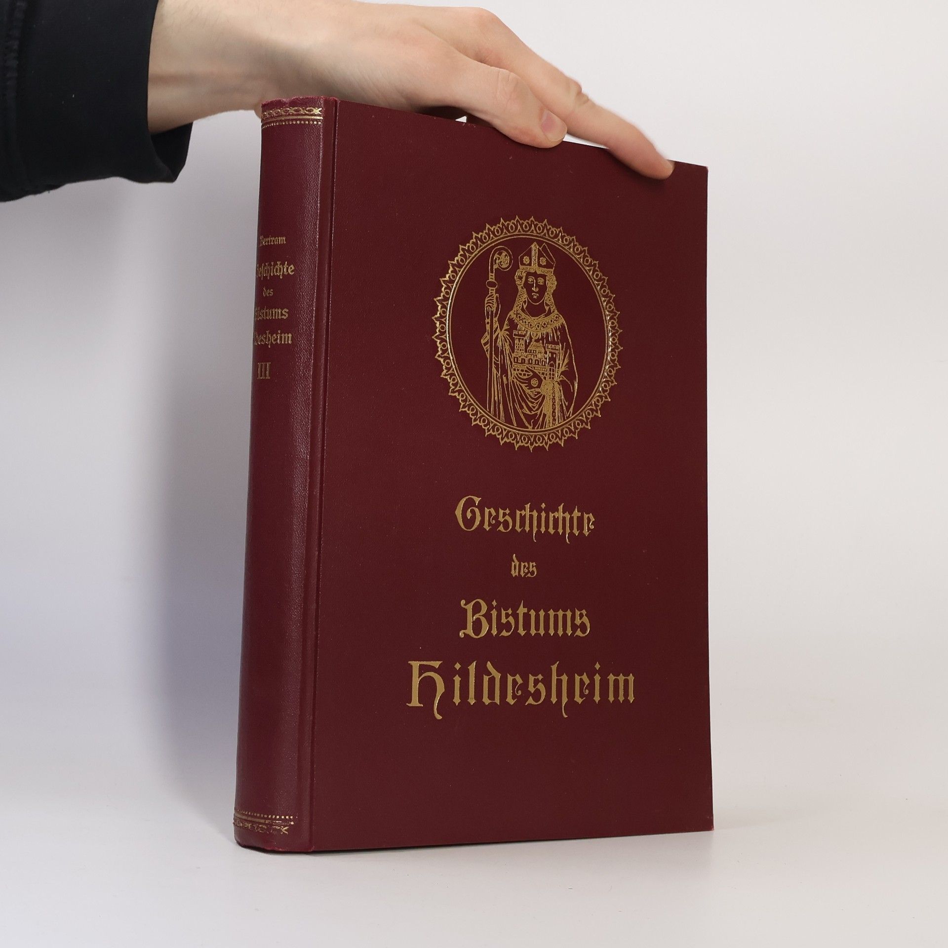 Adolf Kardinal Bertram Geschichte des Bistums Hildesheim 3