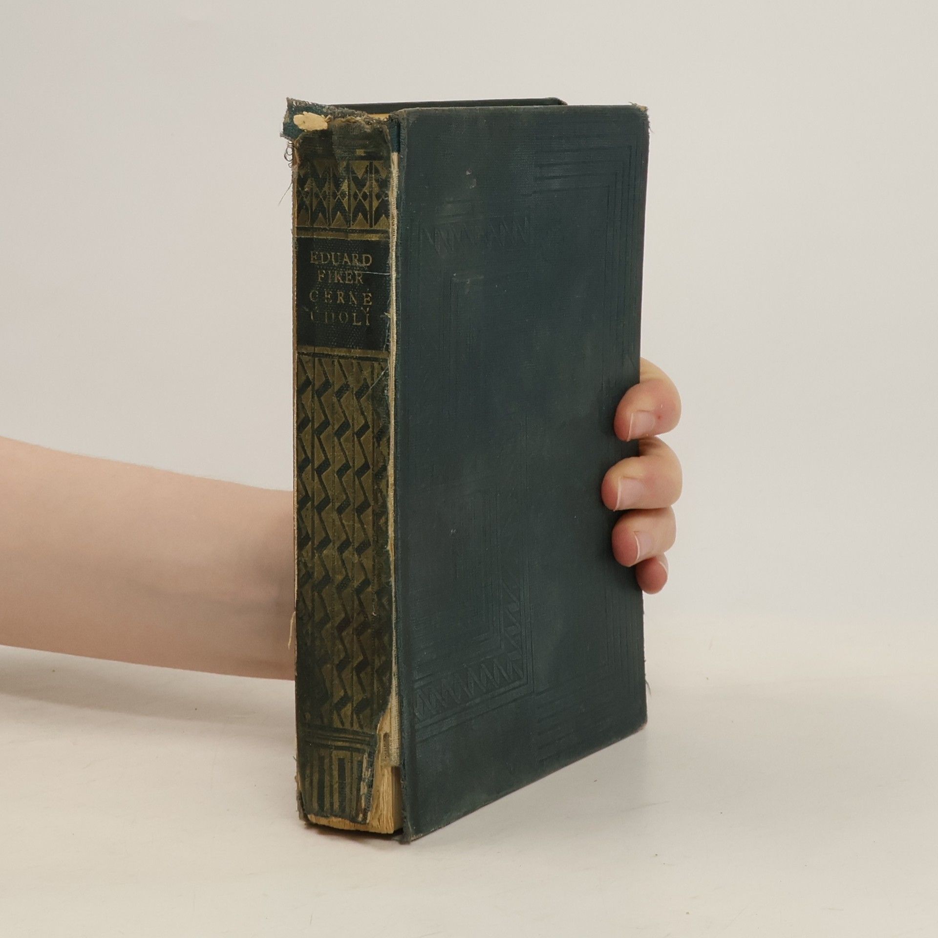 Eduard Fiker Černé údolí