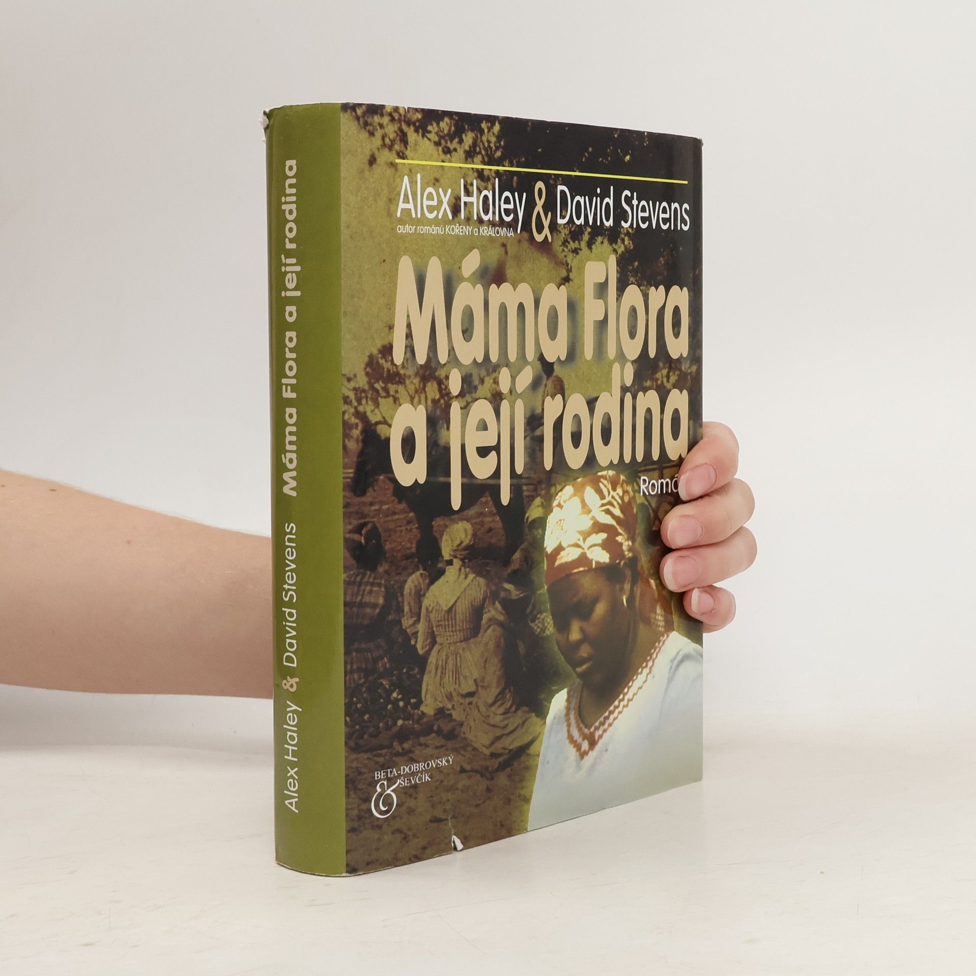 David Stevens Máma Flora a její rodina