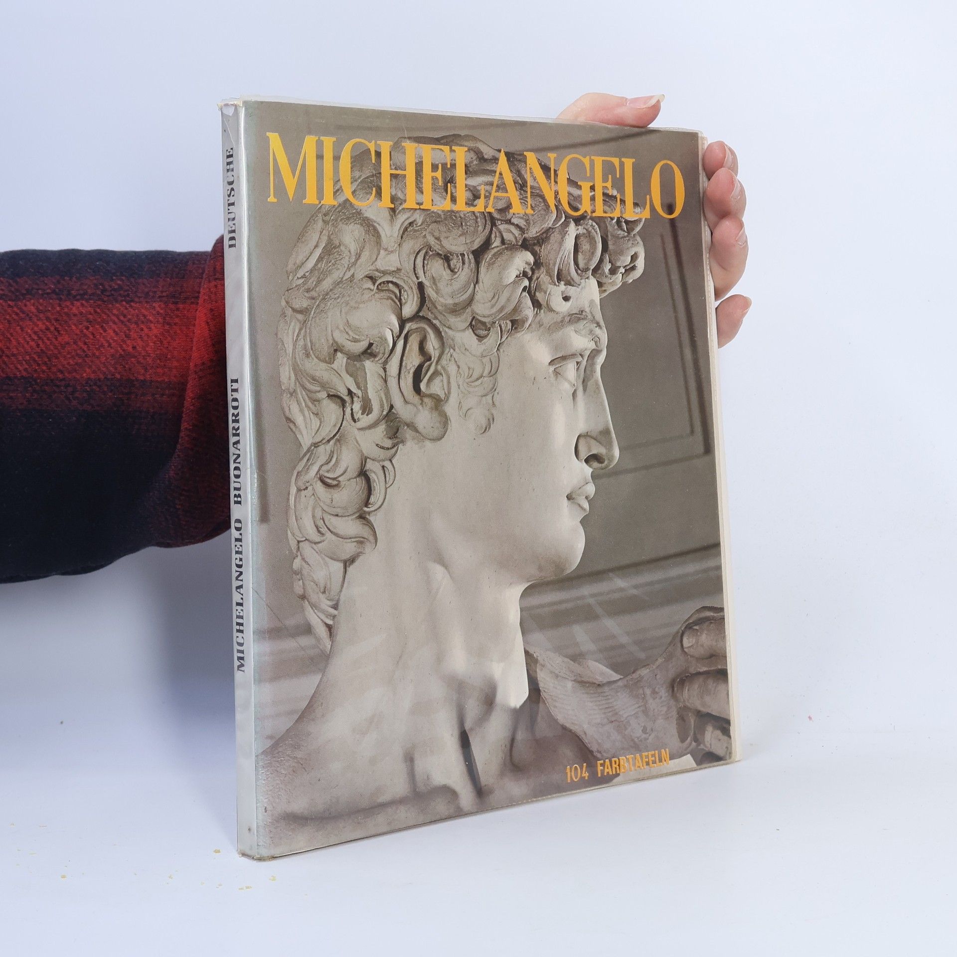 Loretta Santini Michelangelo