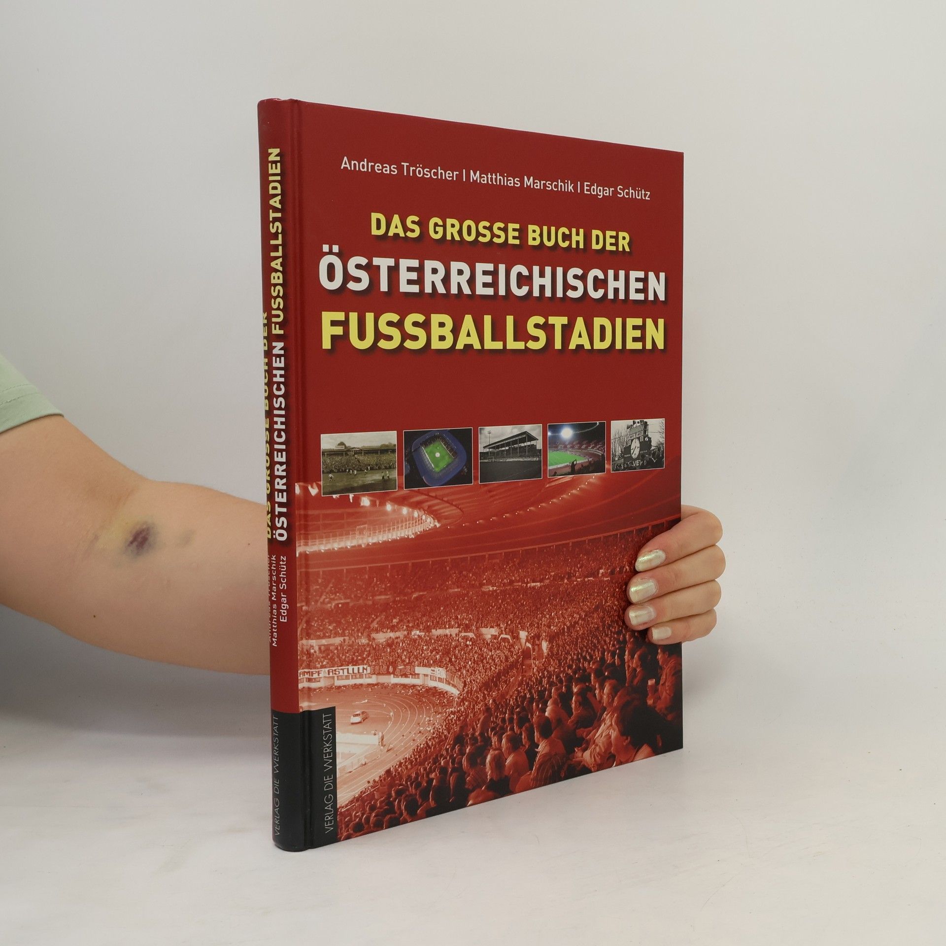 Andreas Tröscher Das grosse Buch der österreichischen Fussballstadien