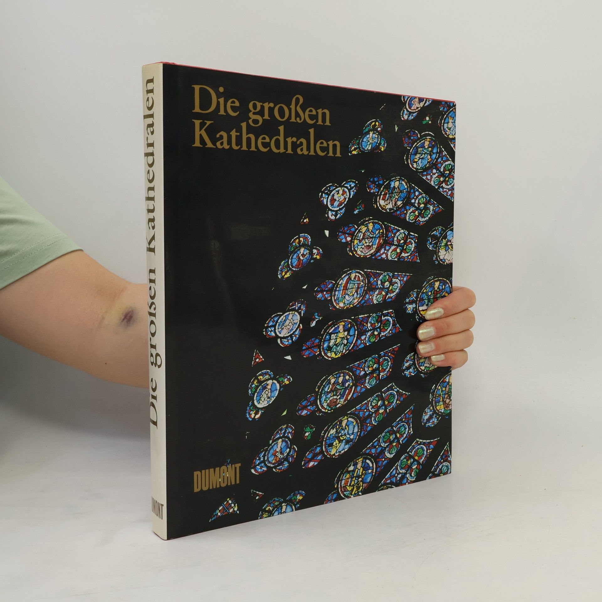 Wim Swaan Die Grossen Kathedralen